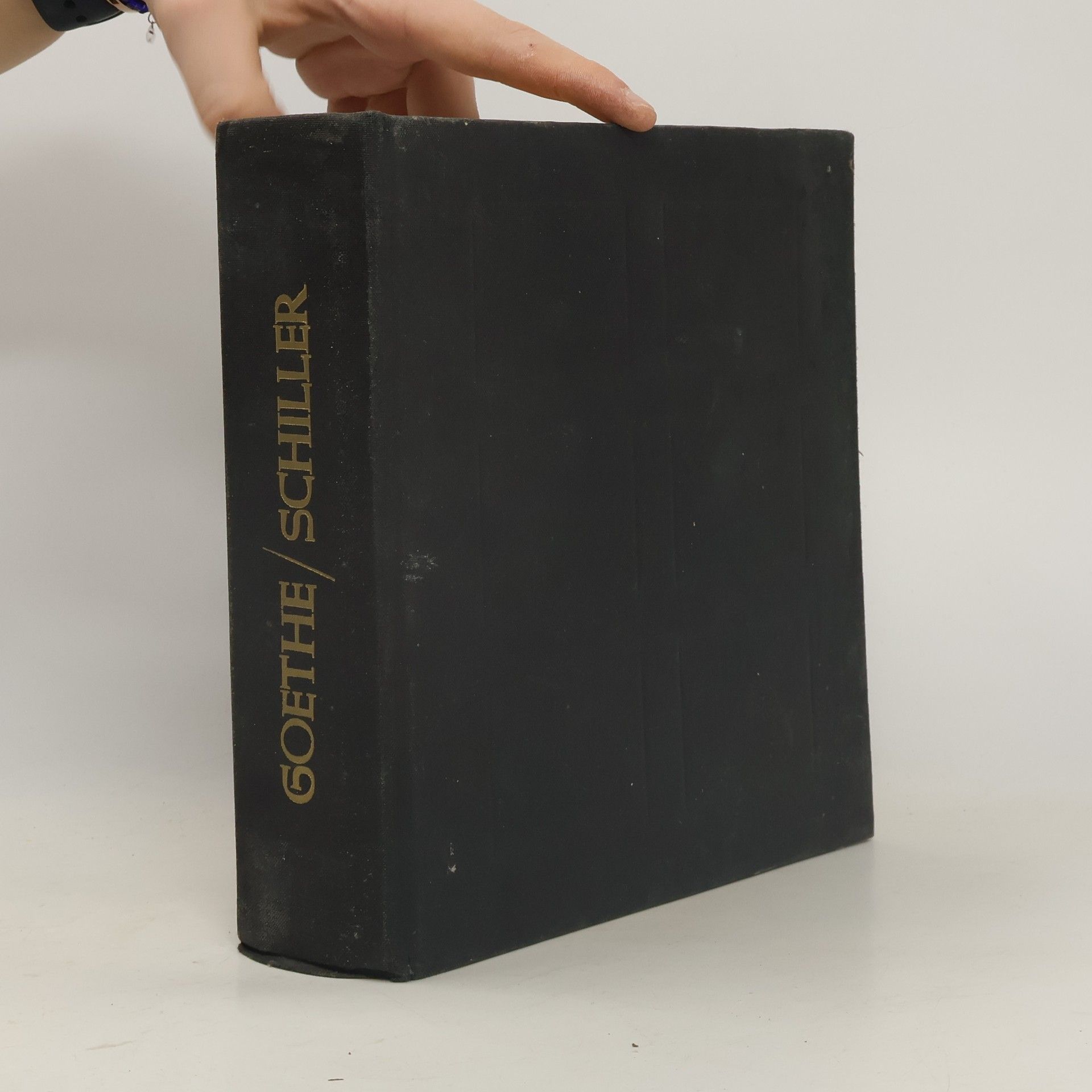 Johann Wolfgang von Goethe Goethe - Schiller. Korespondence