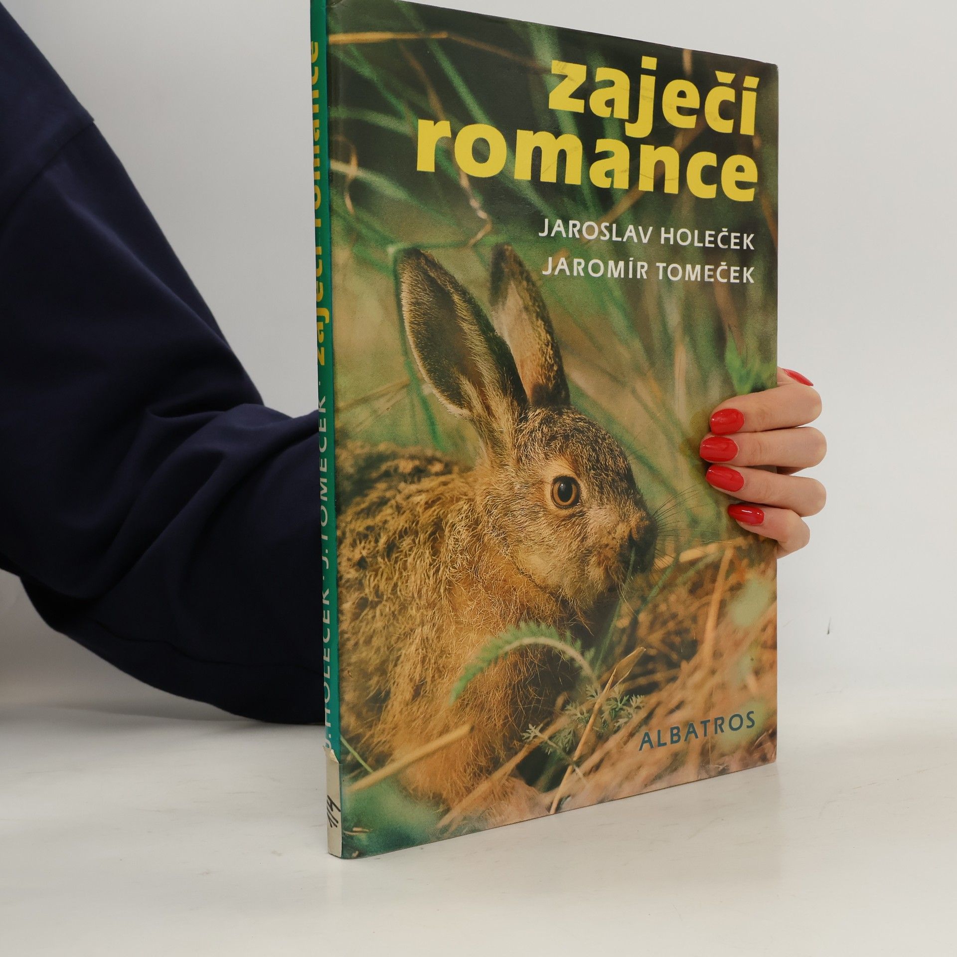 Zaječí romance