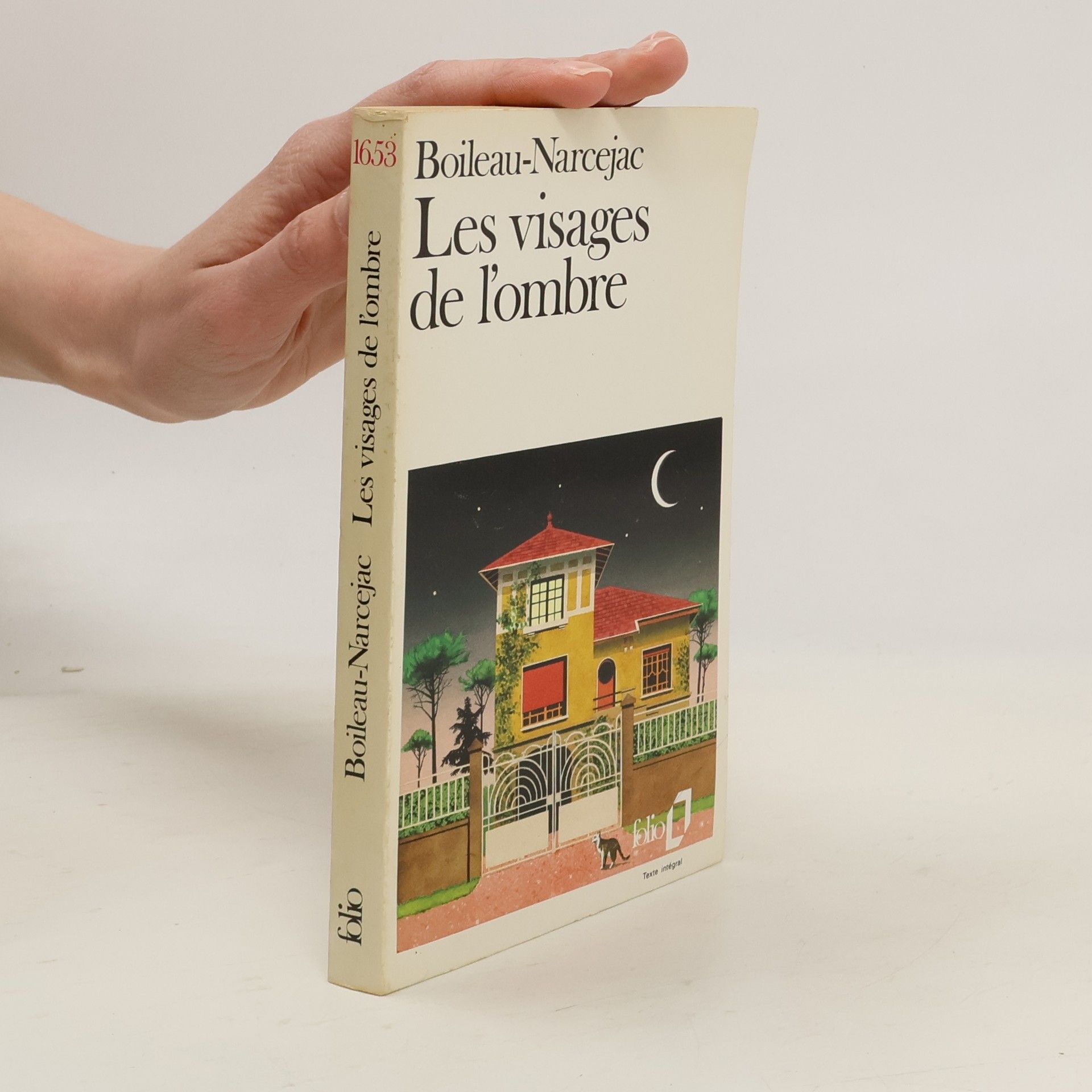 Pierre Boileau Les visages de l'ombre