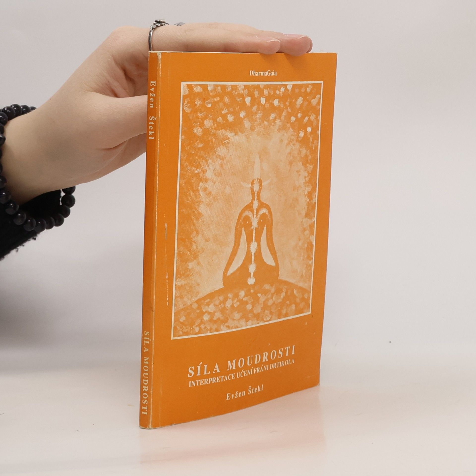 Evžen Štekl Síla moudrosti. Interpretace učení Fráni Drtikola