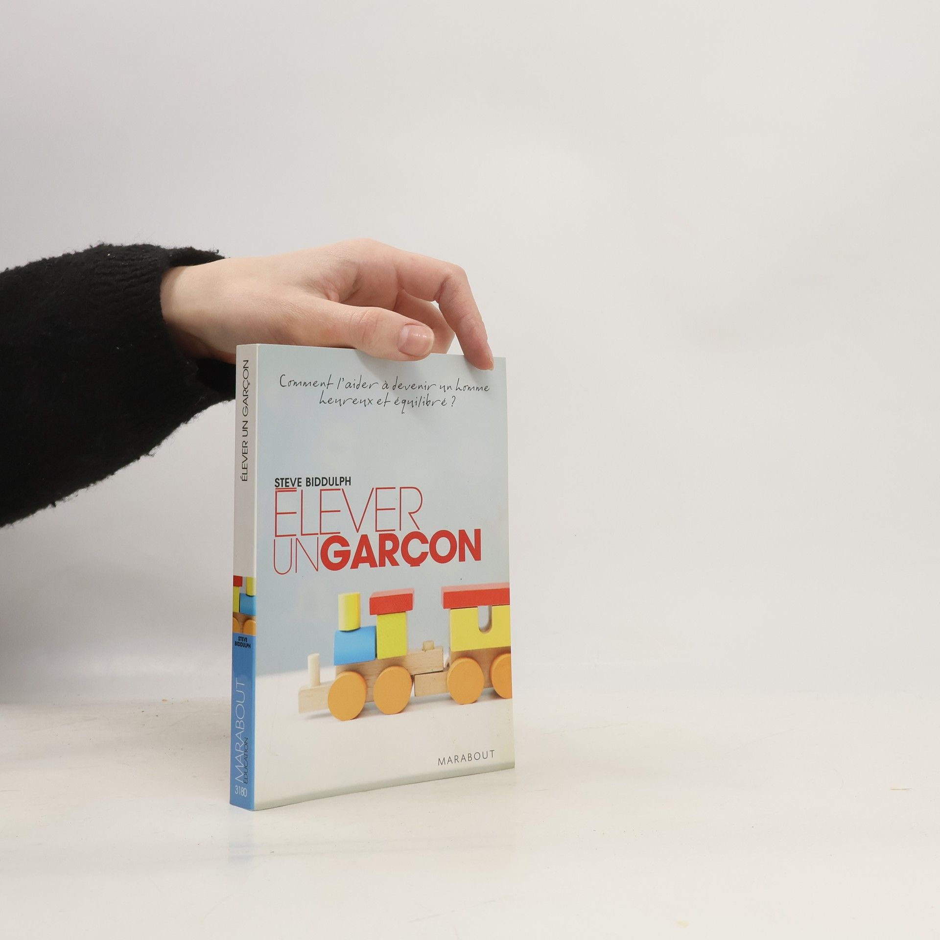 Steve Biddulph Élever un garçon