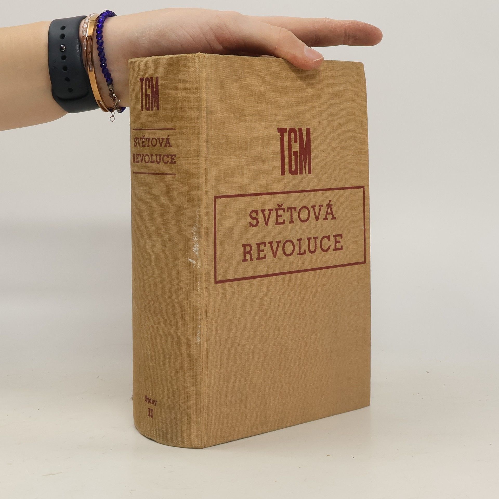 Tomáš Garrigue Masaryk Světová revoluce za války a ve válce 1914-1918