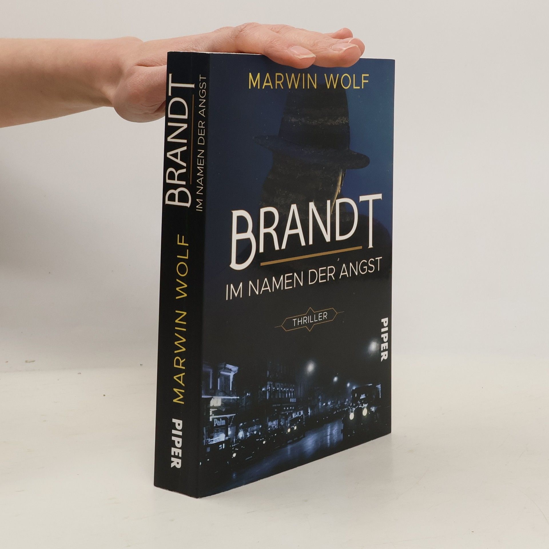 Marwin Wolf Brandt - Im Namen der Angst