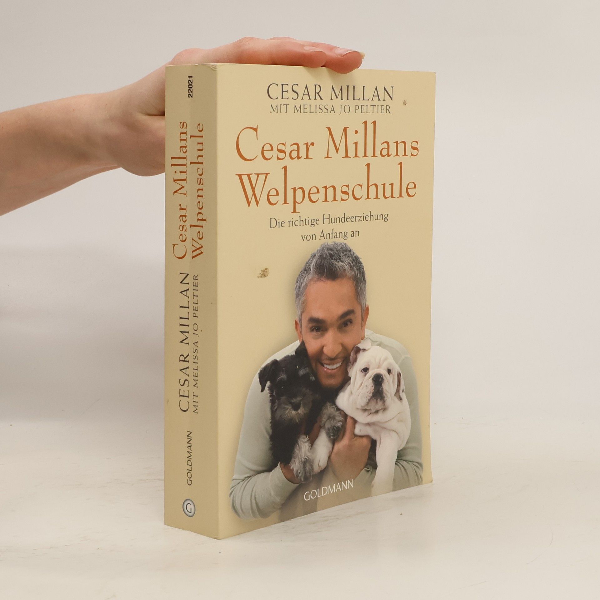 Cesar Millan Cesar Millans Welpenschule