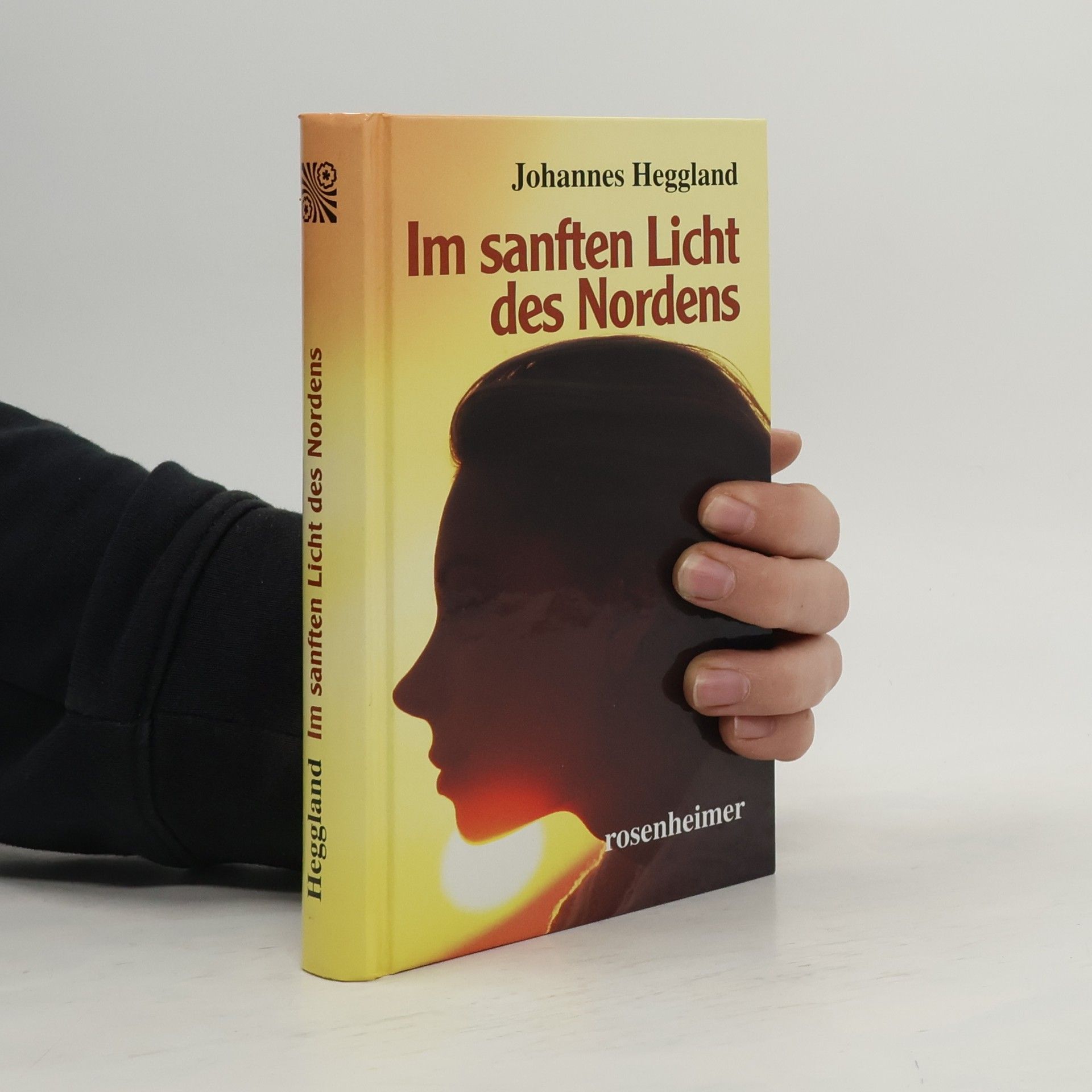 Johannes Heggland Im sanften Licht des Nordens
