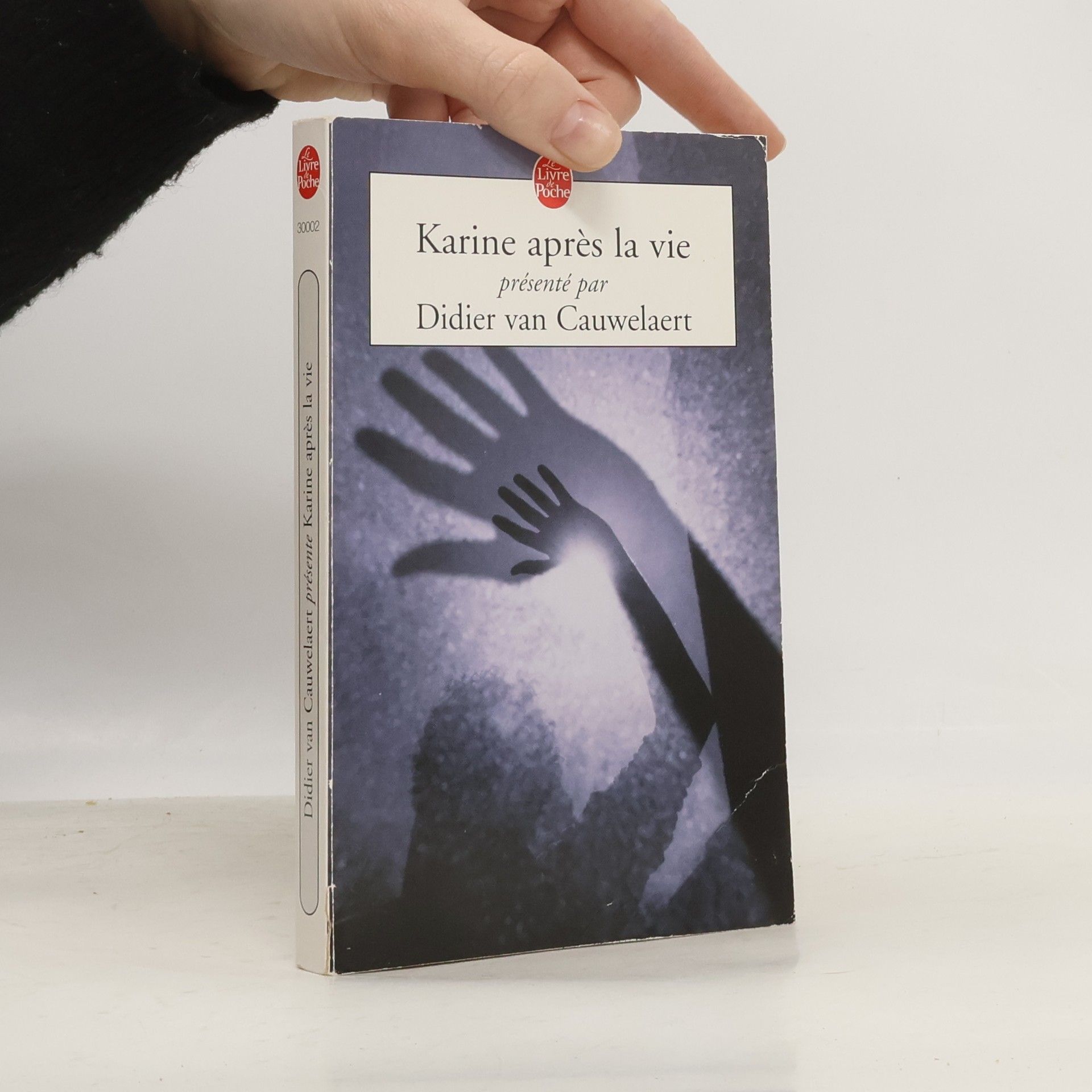 Didier van Cauwelaert Karine après la vie