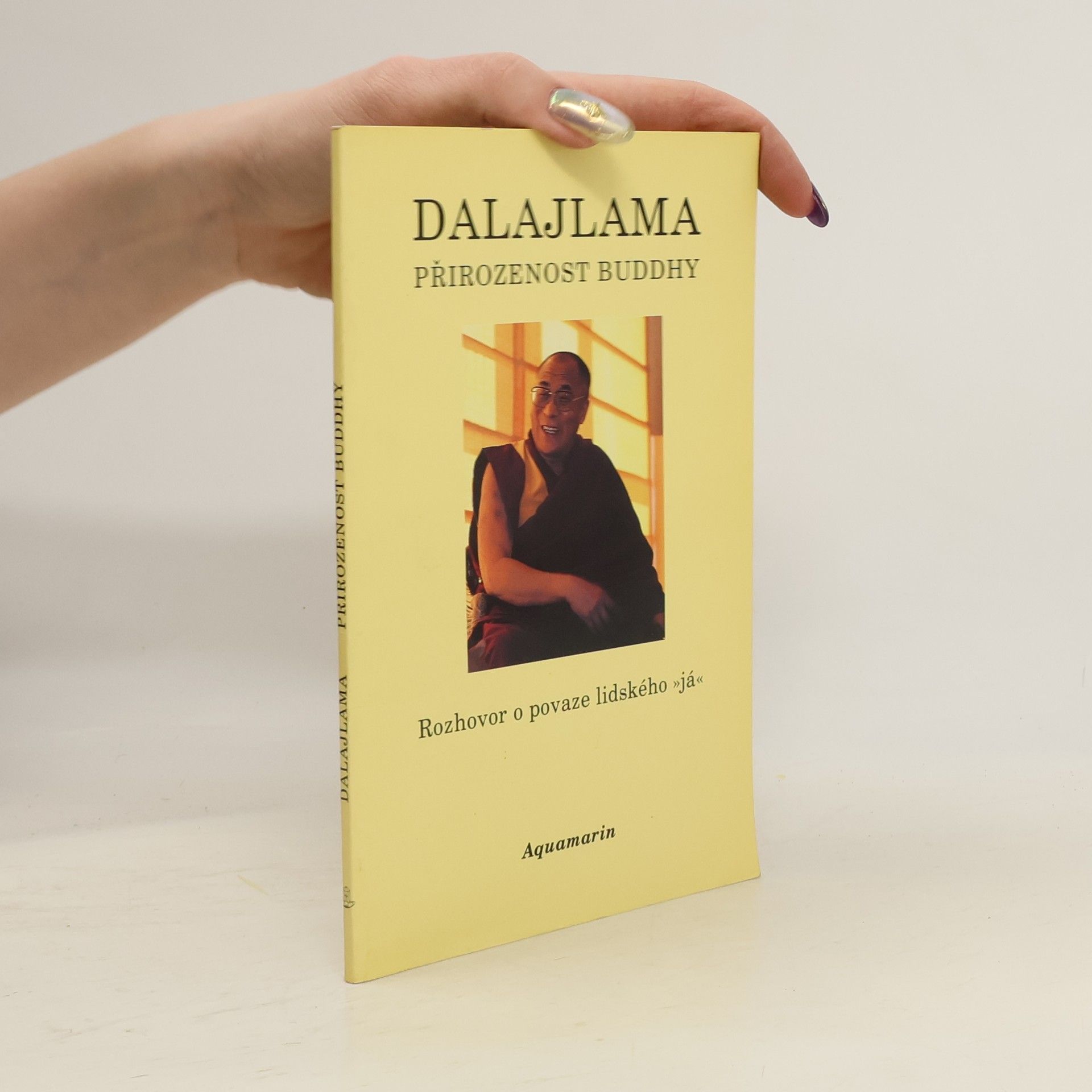 Bstan\'dzinrgyamtsho Přirozenost Buddhy. Rozhovor o povaze lidského "já"