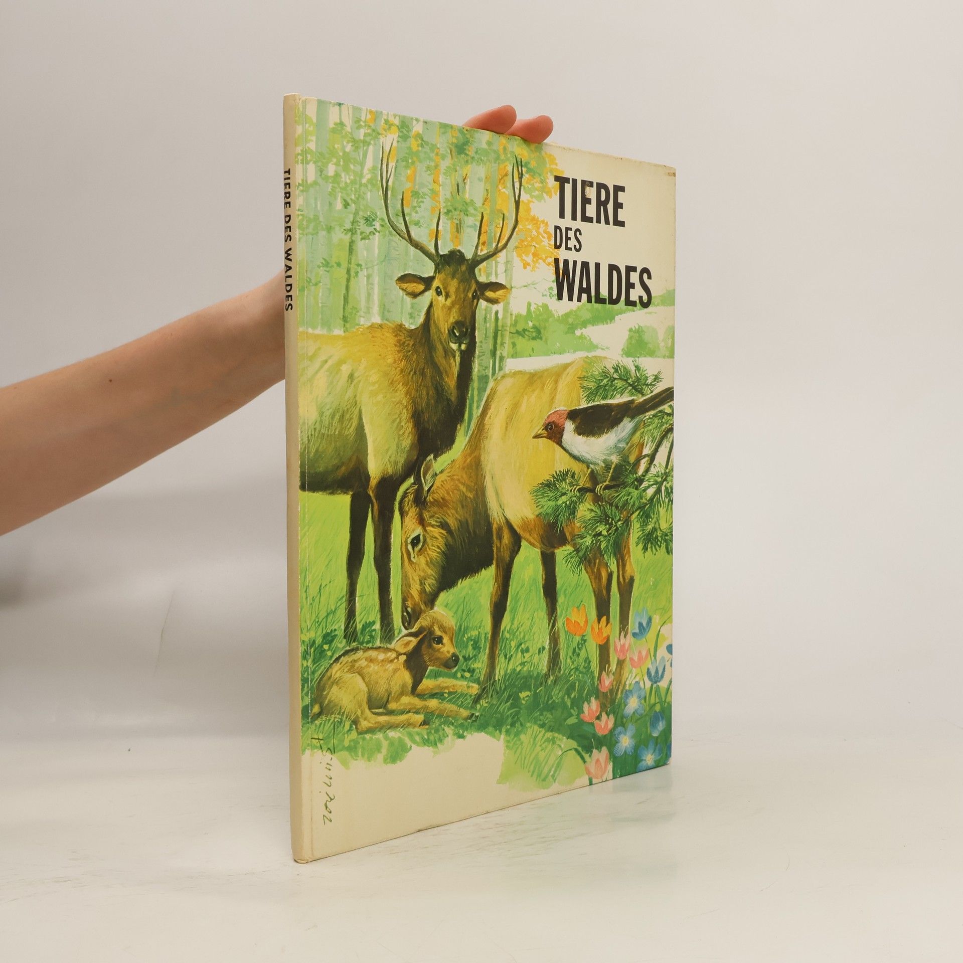 Auteurscollectief Tiere des Waldes