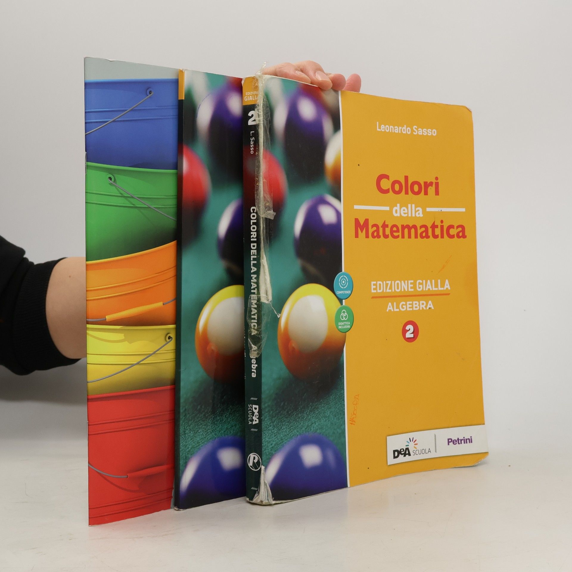 Leonardo Sasso Colori della matematica