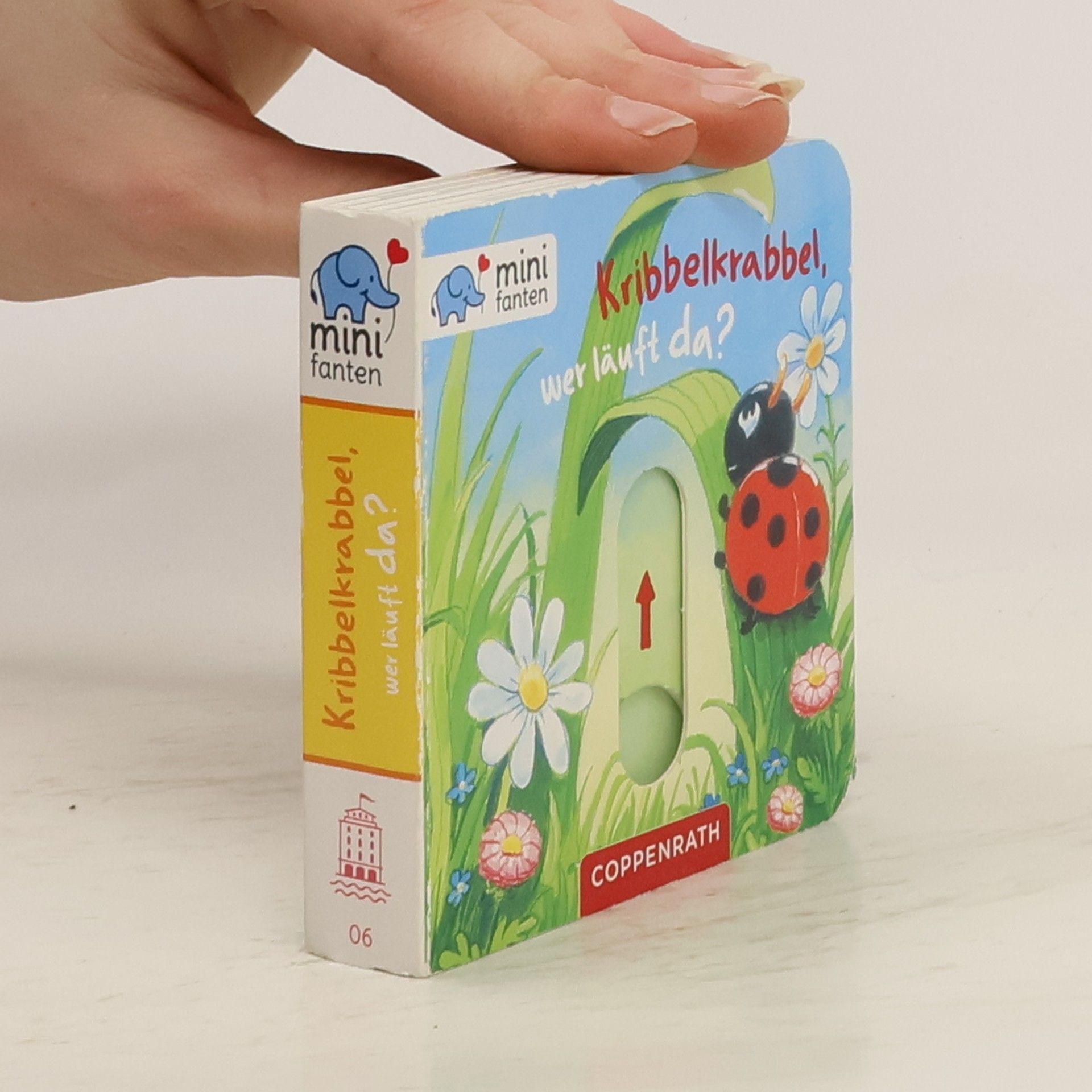 Antje Flad Minifanten - 6: Kribbelkrabbel, wer läuft da?