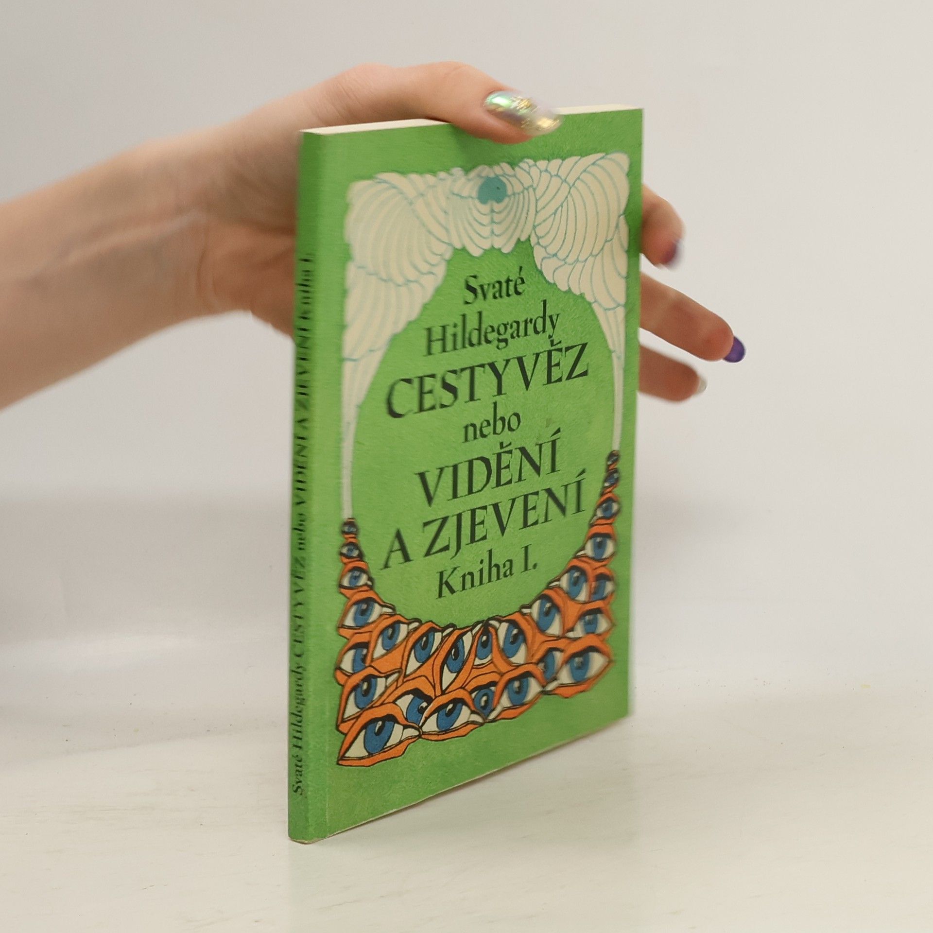 Svaté Hildegardy Cestyvěz nebo Vidění a zjevení. Kniha I.