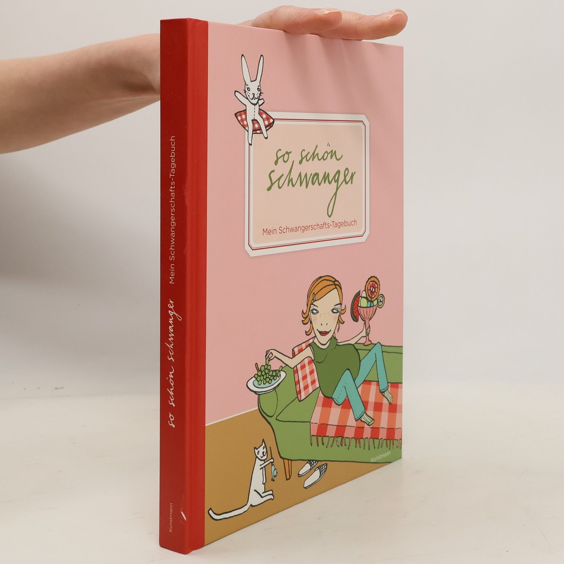 Silke Schimdt So schön schwanger, Mein Schwangerschafts-Tagebuch