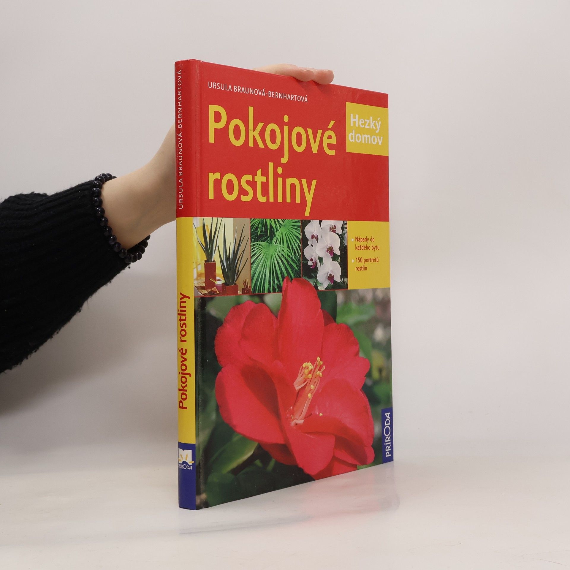 Pokojové rostliny