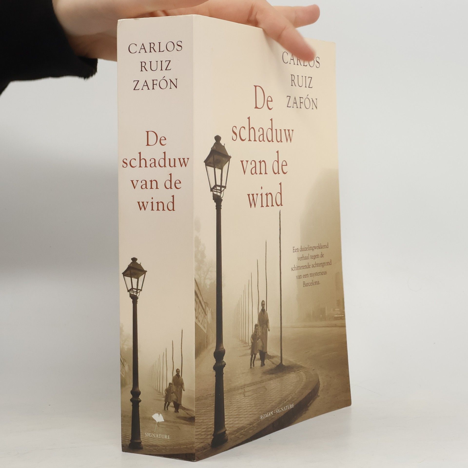 Carlos Ruiz Safon De schaduw van de wind