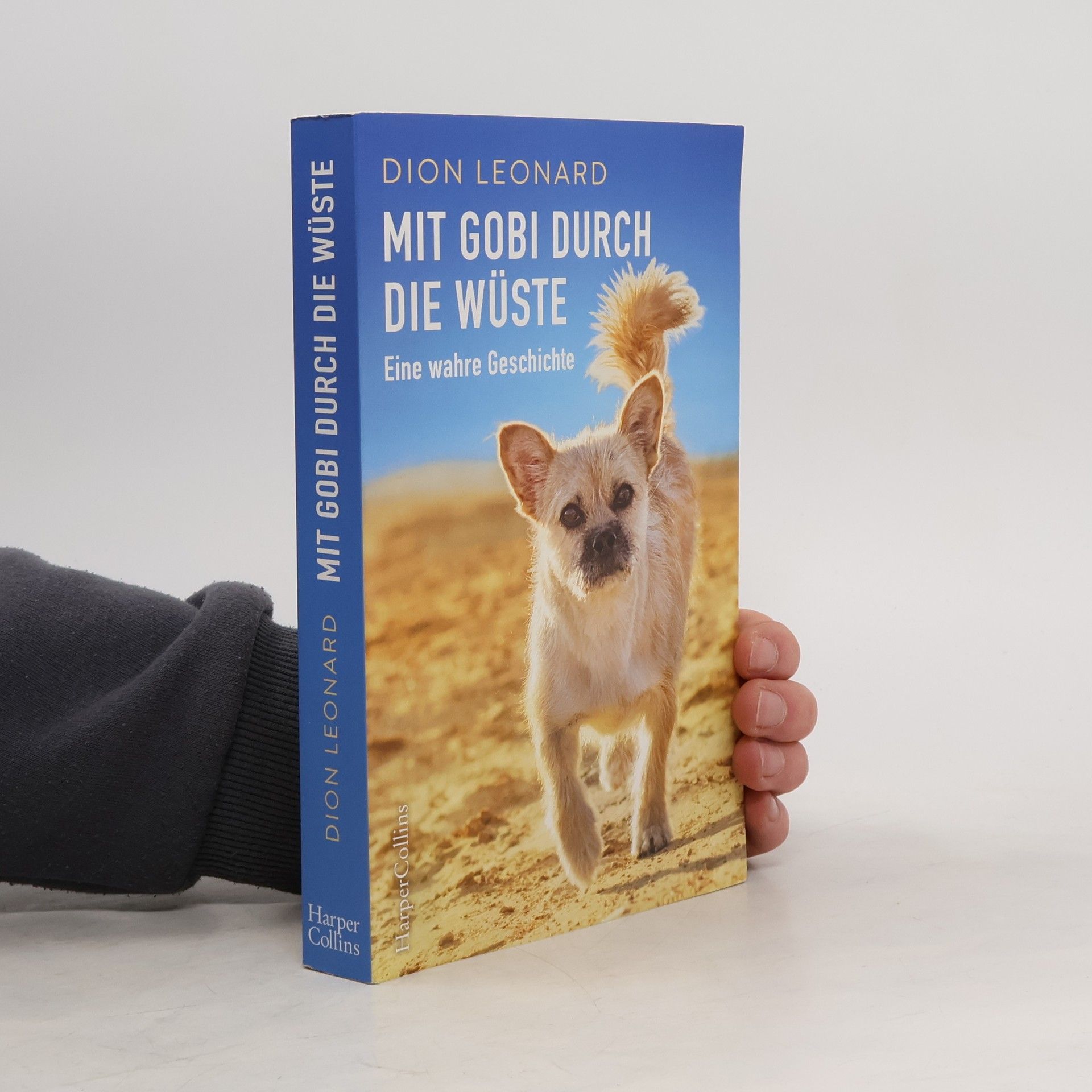 Dion Leonard Mit Gobi durch die Wüste