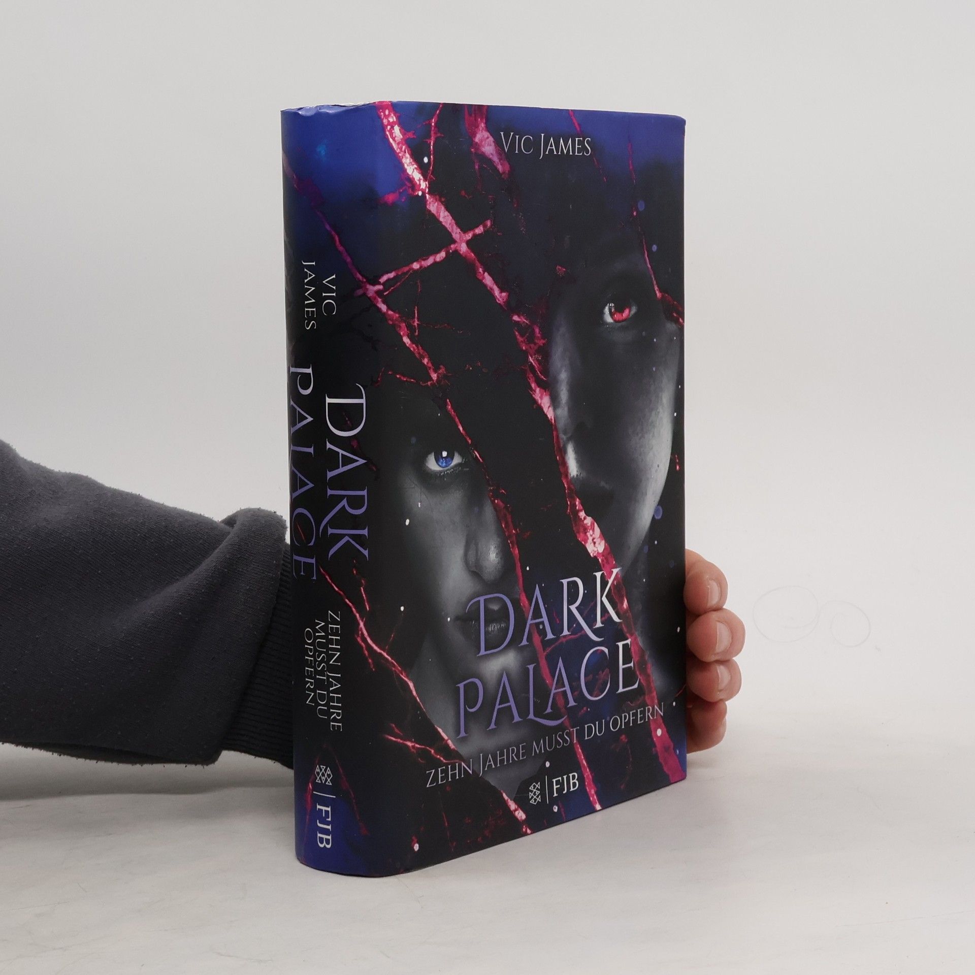 Vic James Dark palace - zehn Jahre musst du opfern