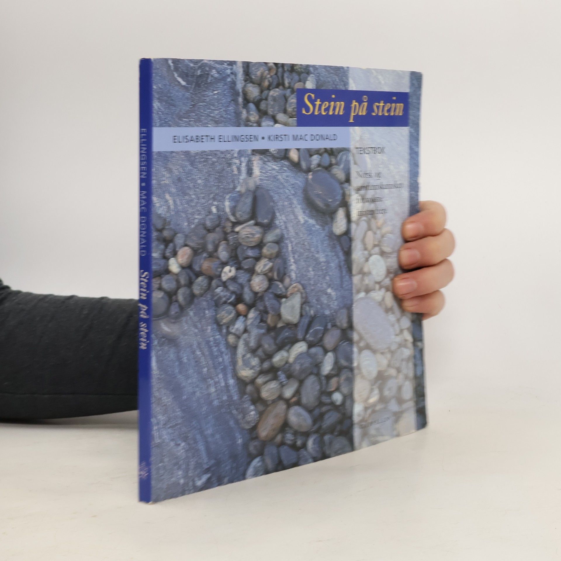 Elisabeth Ellingsen Stein på stein : Tekstbok