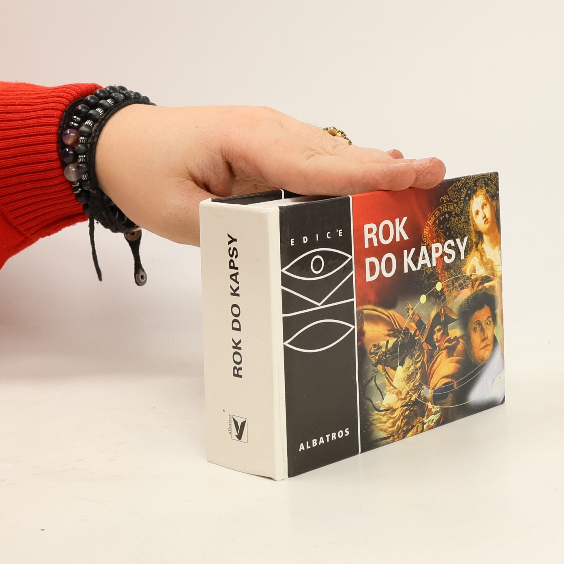 Irena Tatíčková Rok do kapsy