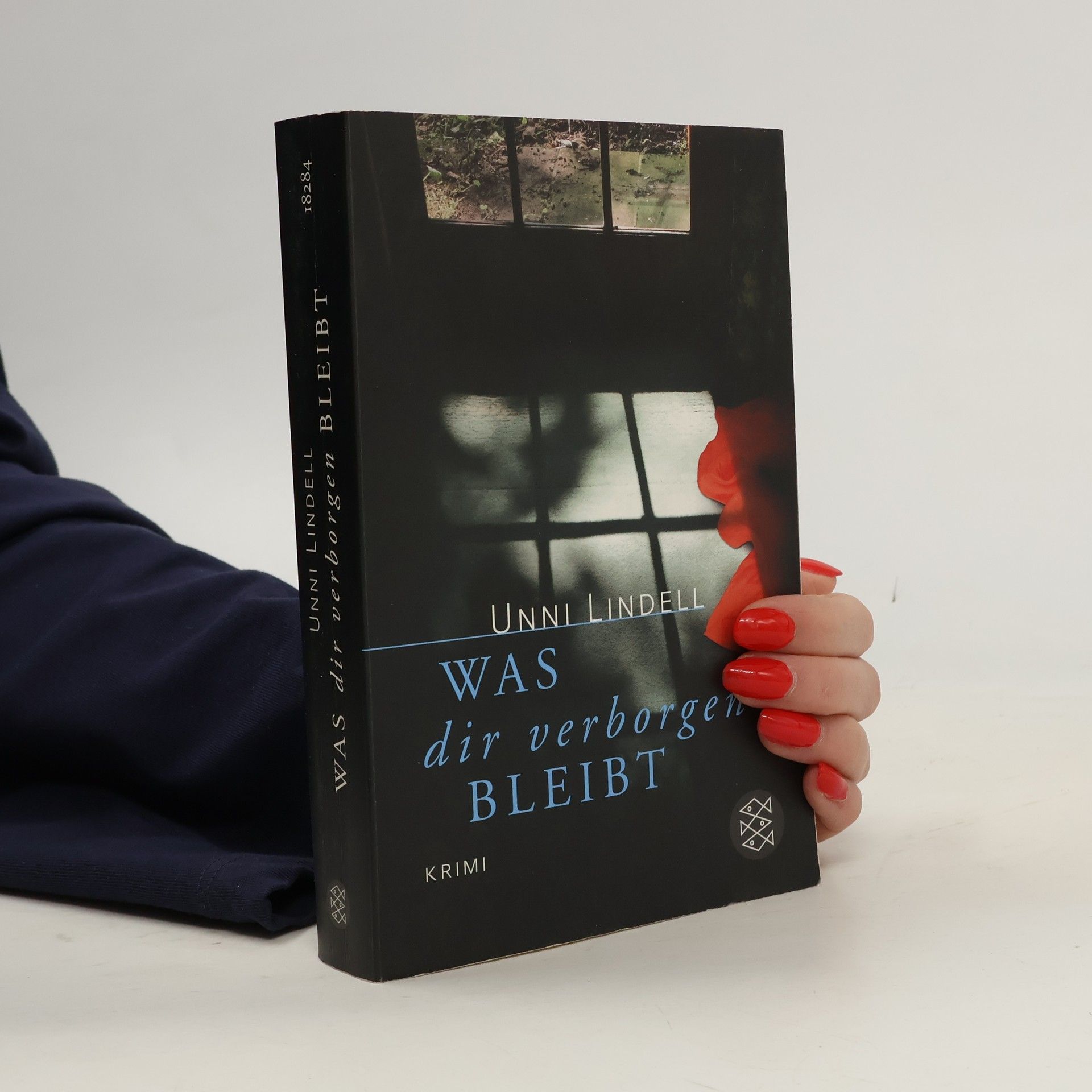 Unni Lindell Was dir verborgen bleibt