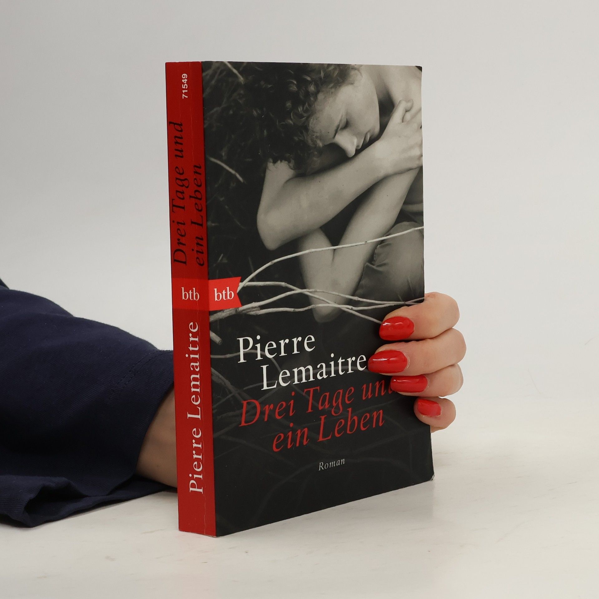 Pierre Lemaitre Drei Tage und ein Leben