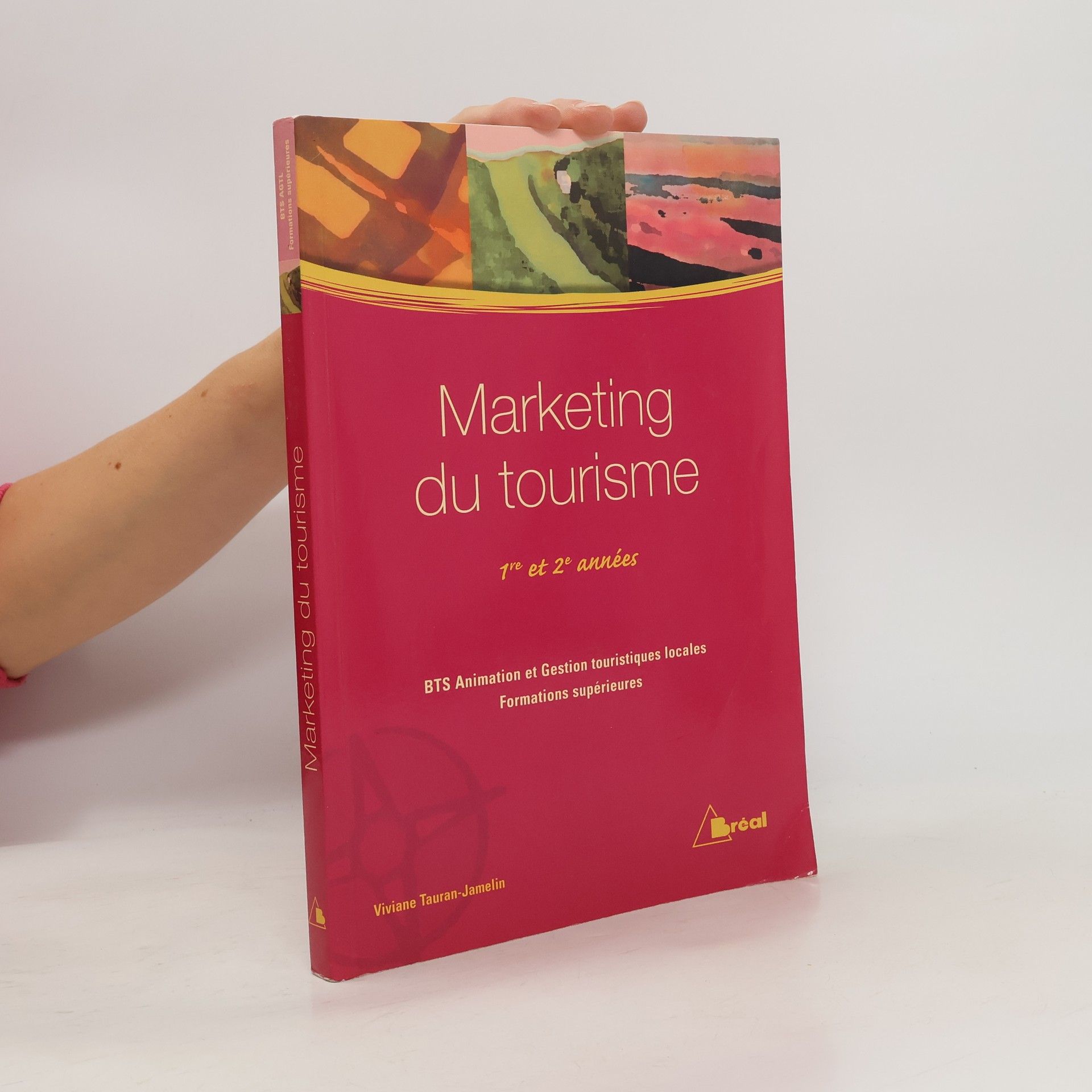 Viviane Tauran-Jamelin Marketing du tourisme