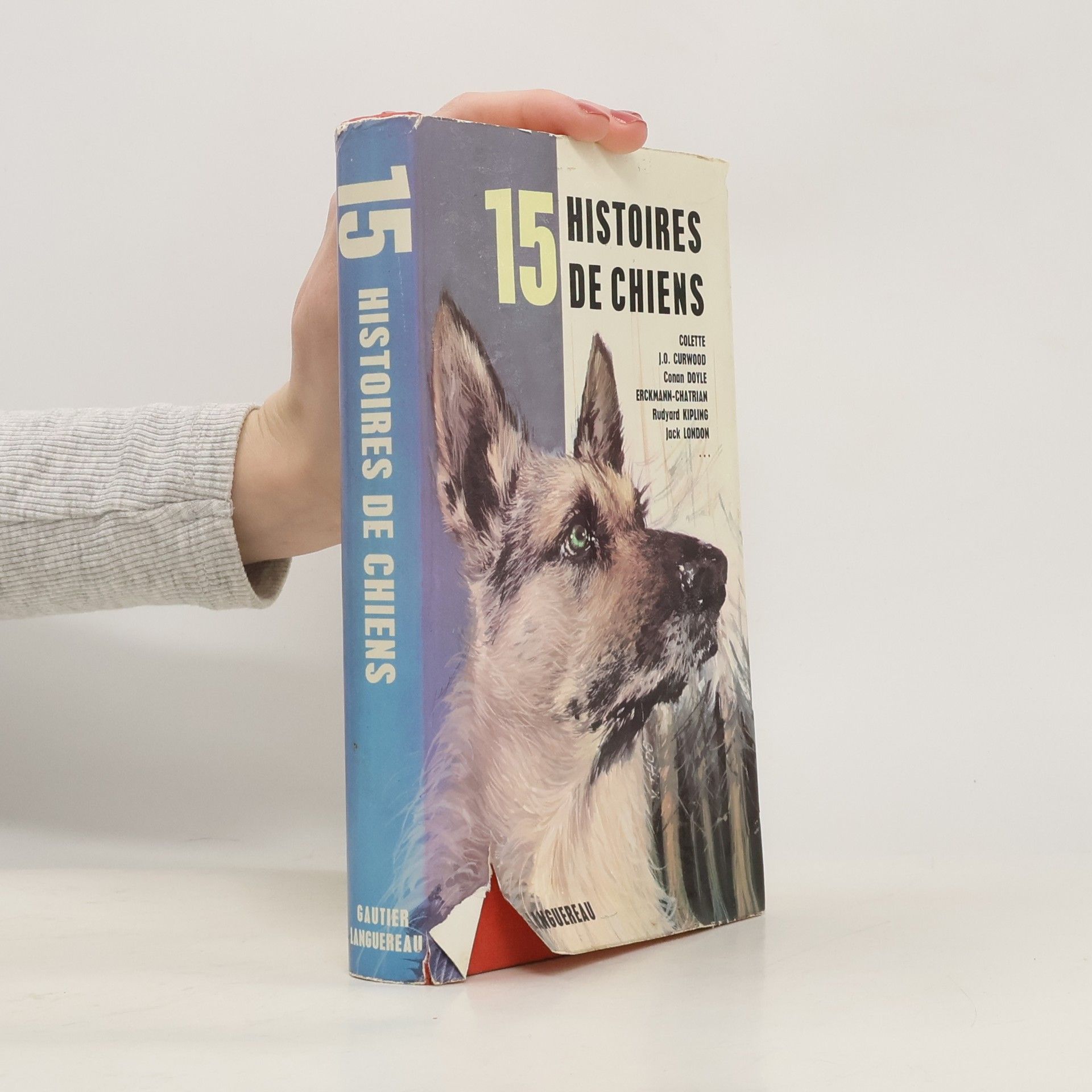 Collectif d'auteurs 15 histoires de chiens