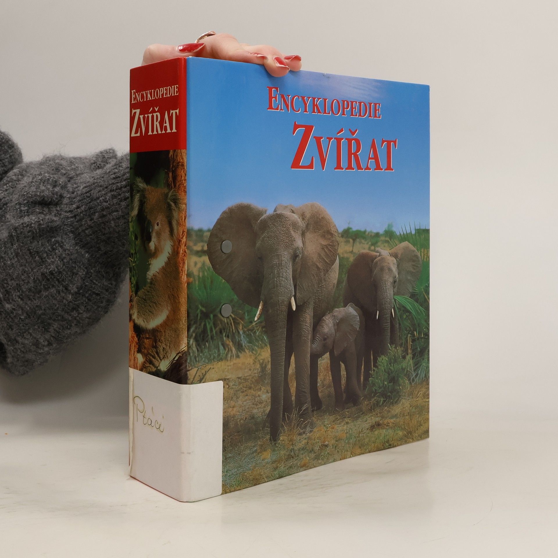 Auteurscollectief Encyklopedie zvířat 2. Ptáci