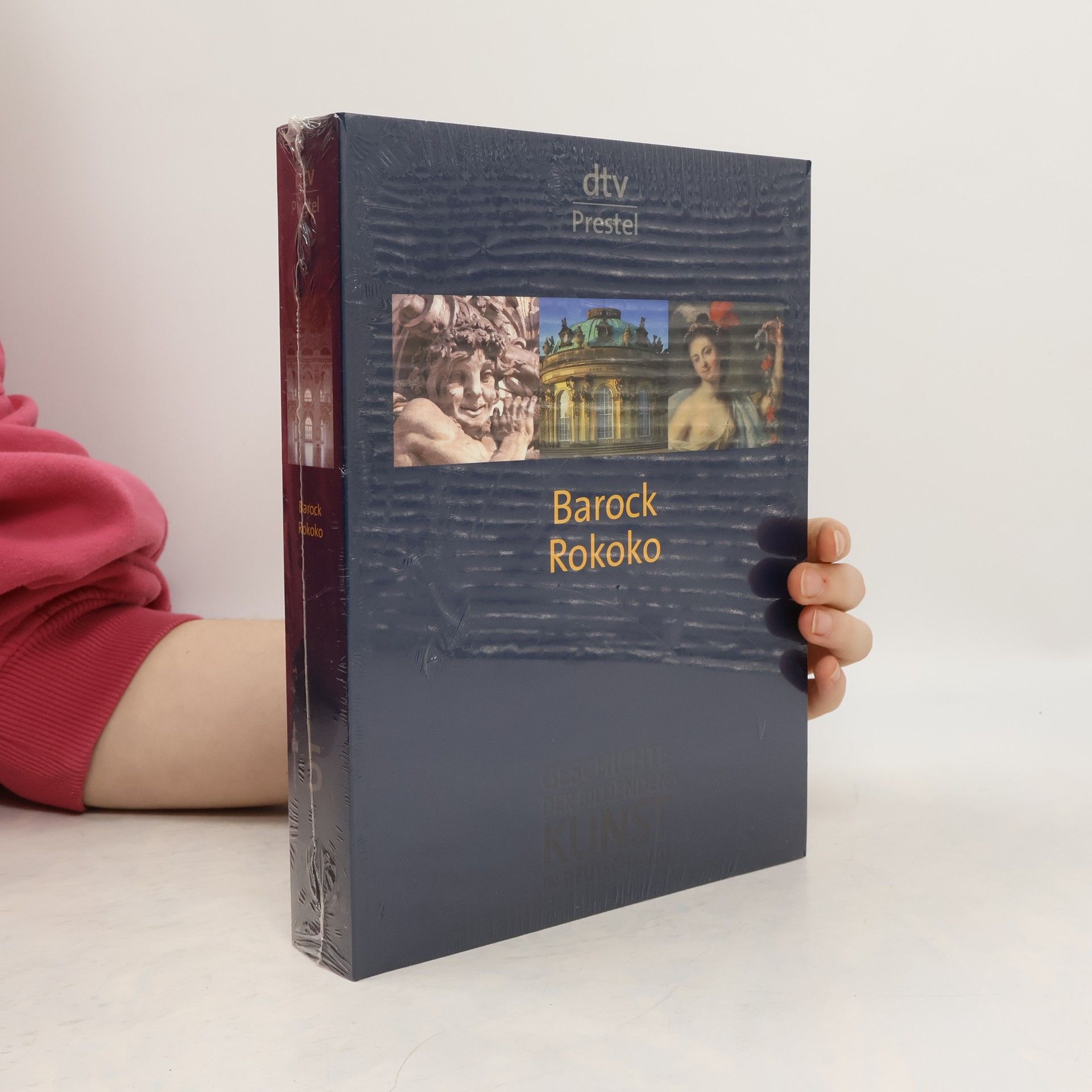 Kolektiv autorů Barock und Rokoko