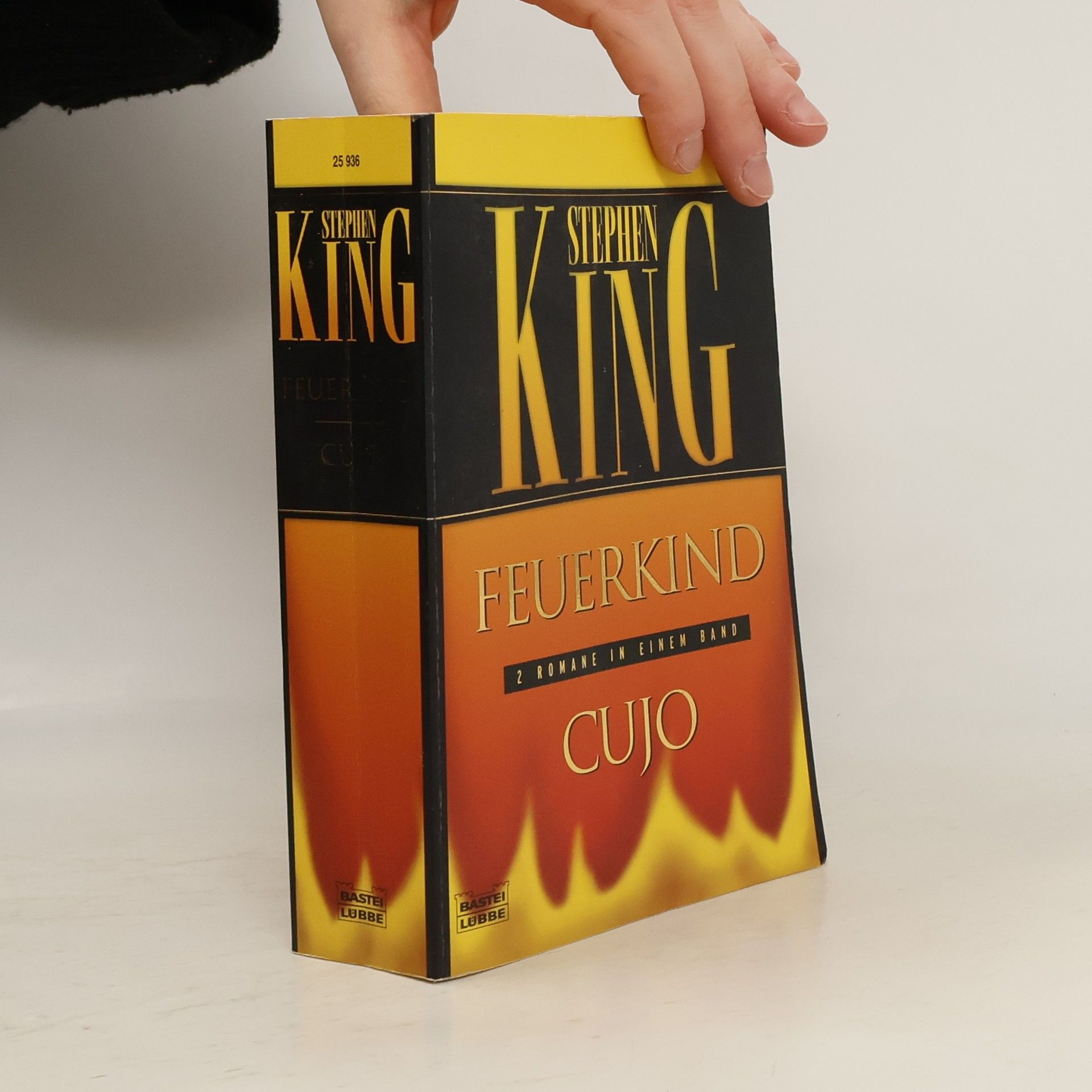 Stephen King Feuerkind. Cujo. Zwei Romane in einem Band
