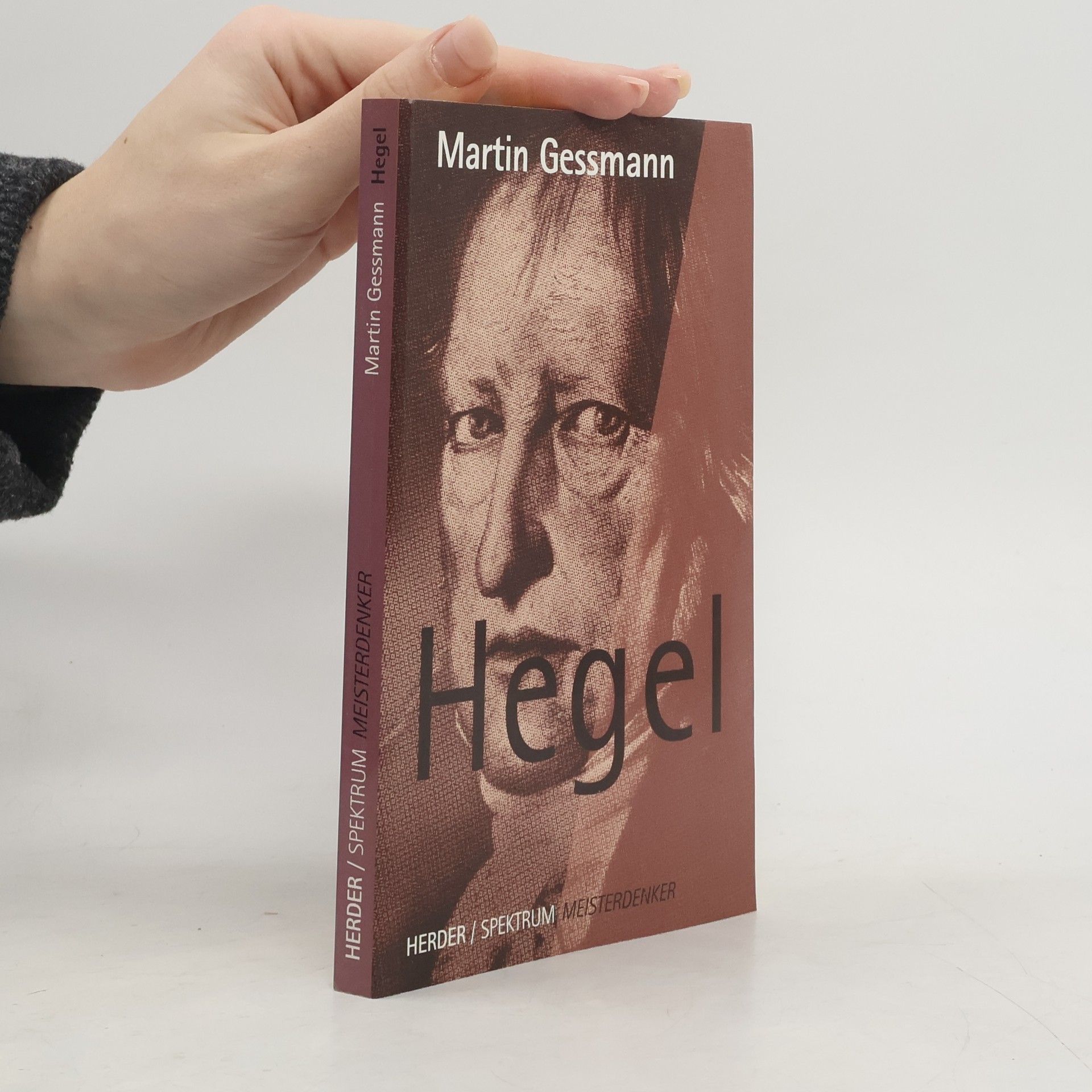 Martin Gessmann Hegel