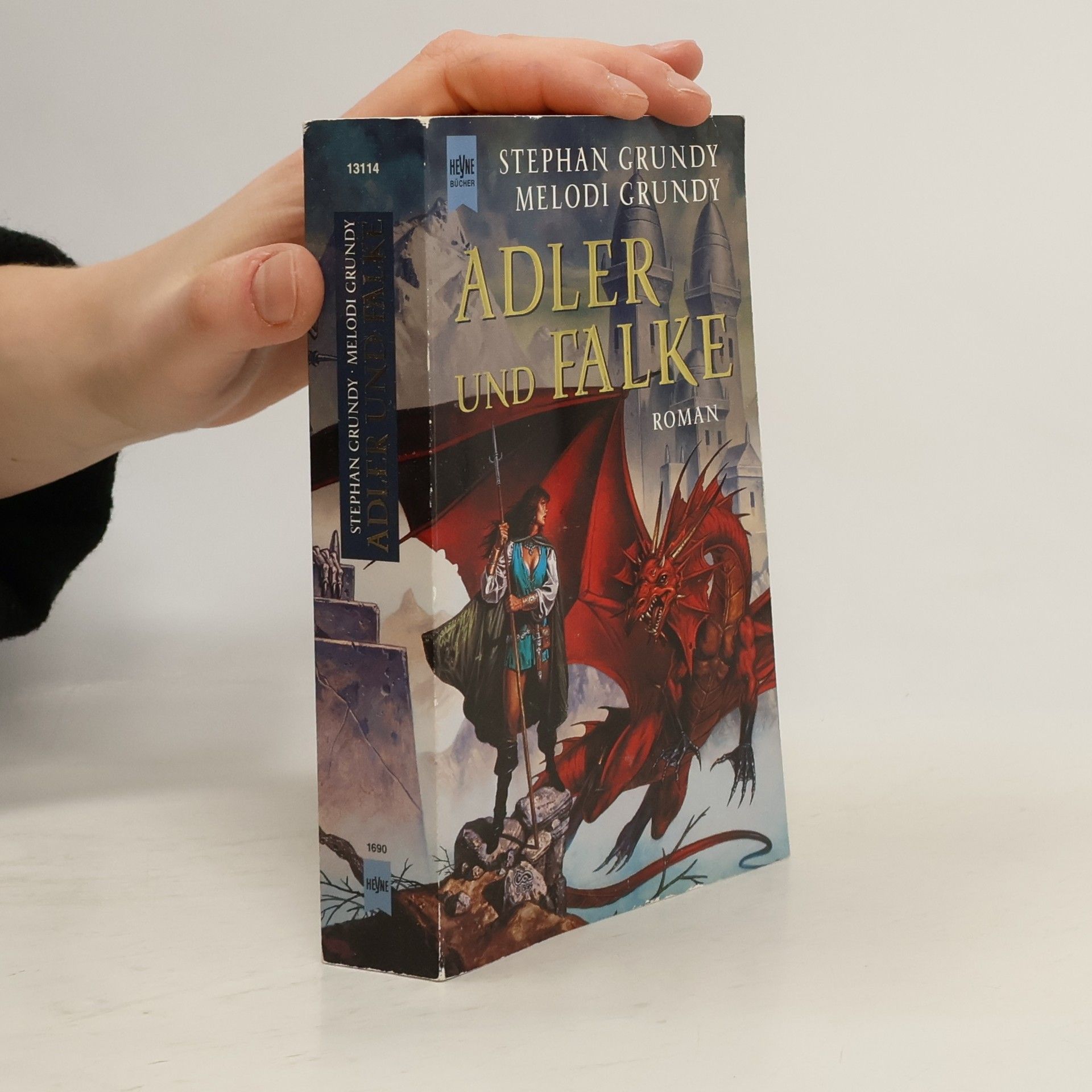 Stephan Grundy Adler und Falke