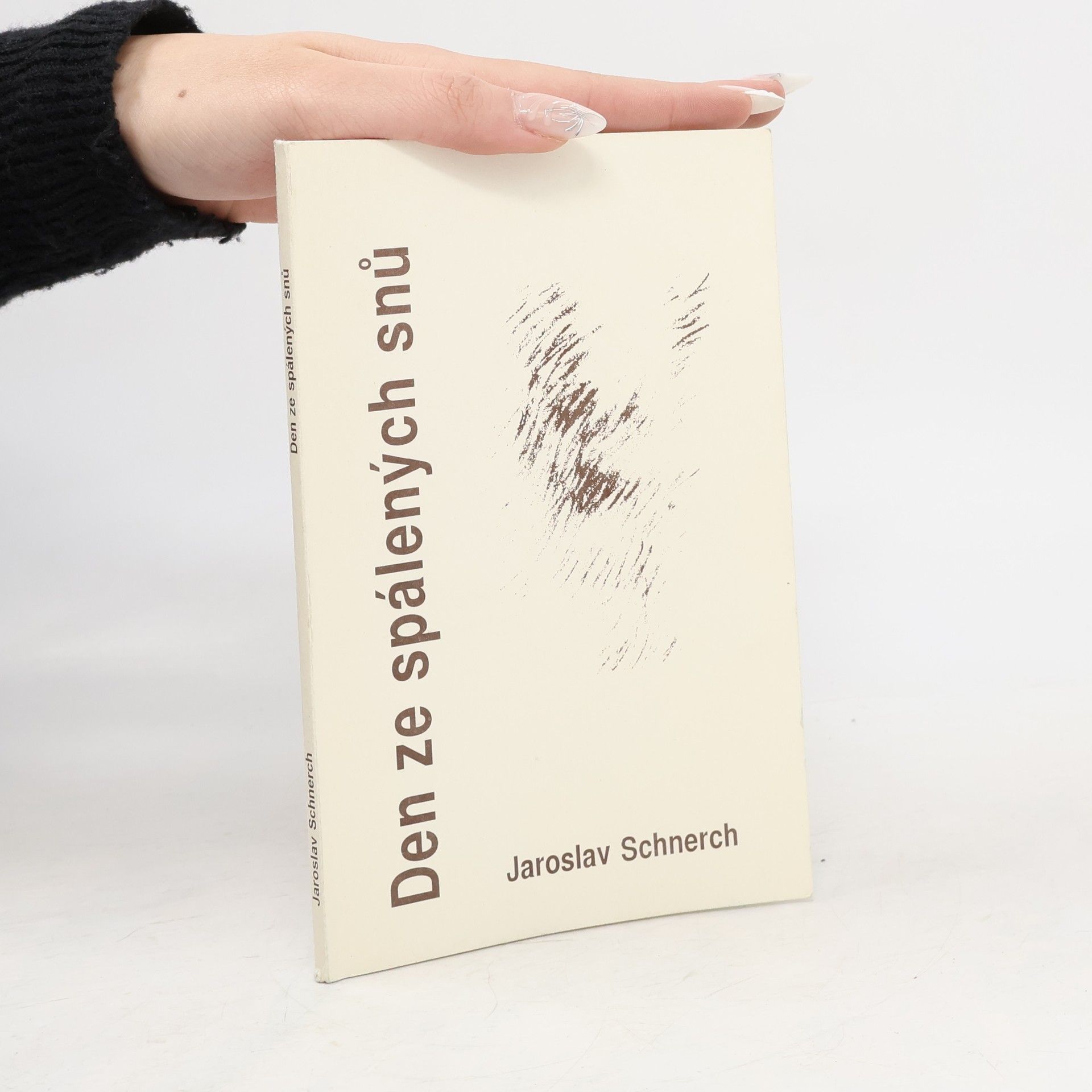 Den ze spálených snu̇