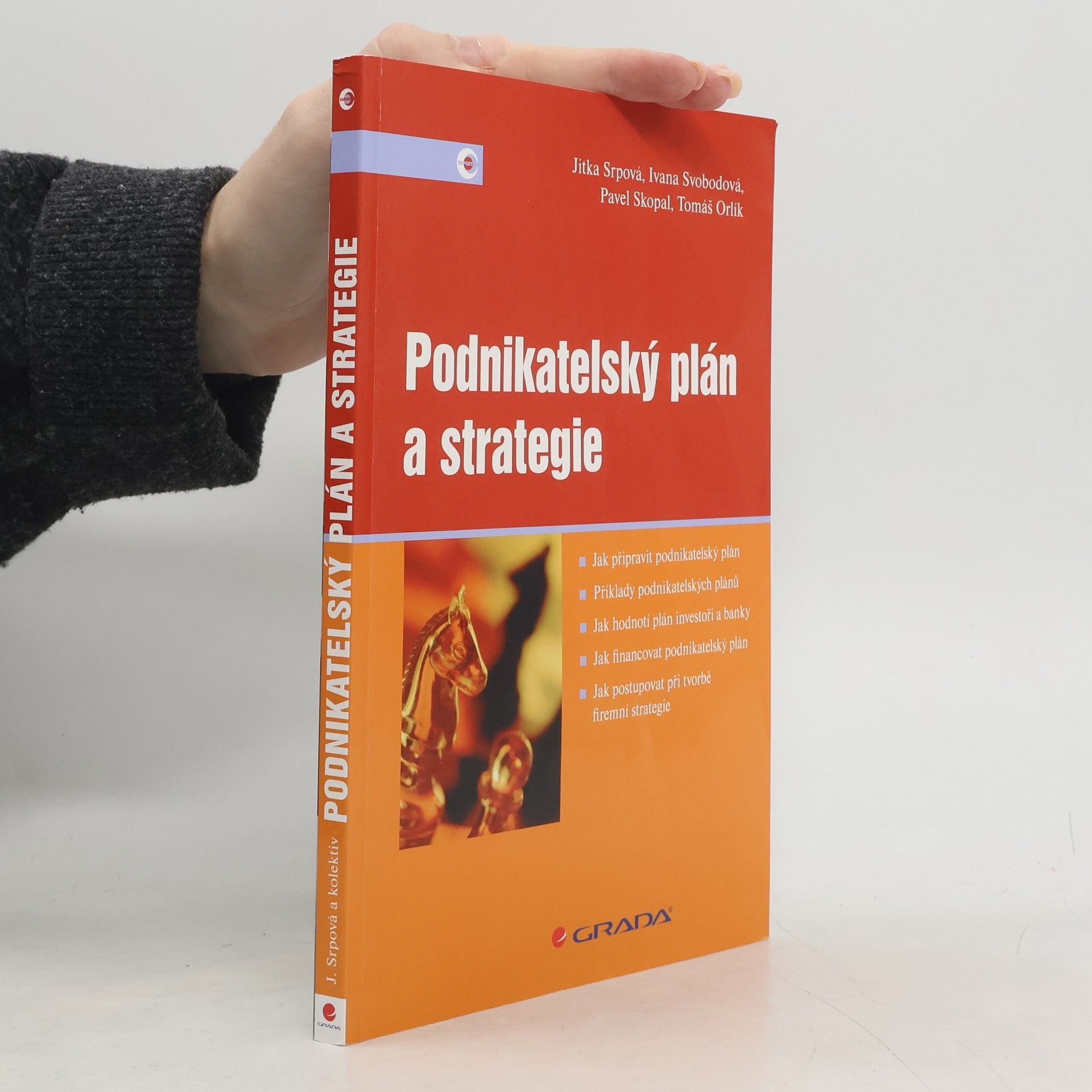 Podnikatelský plán a strategie