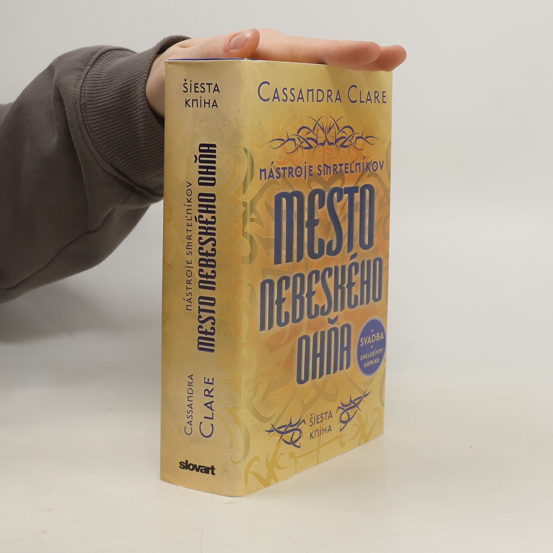 Cassandra Clare Mesto nebeského ohňa
