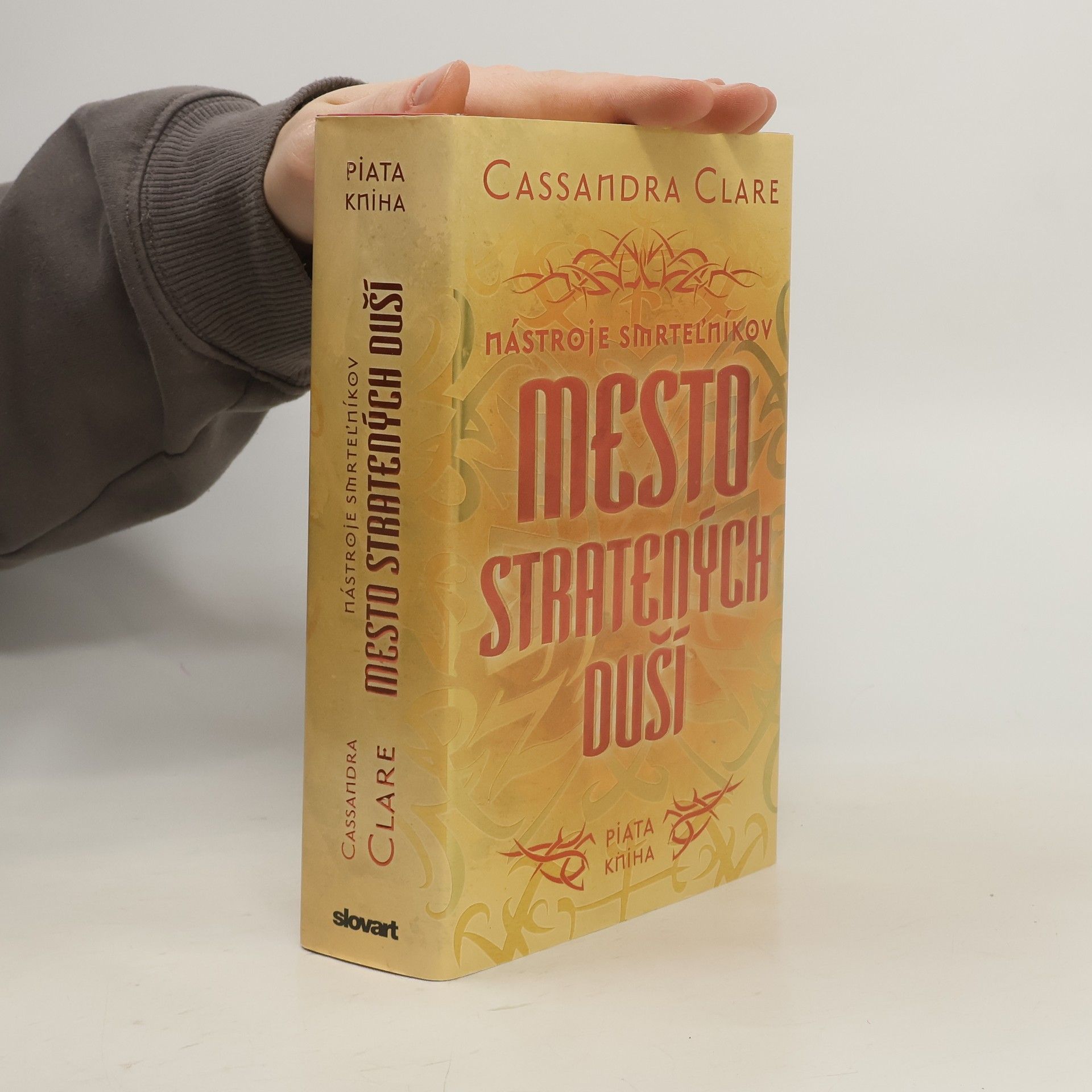 Cassandra Clare Mesto stratených duší