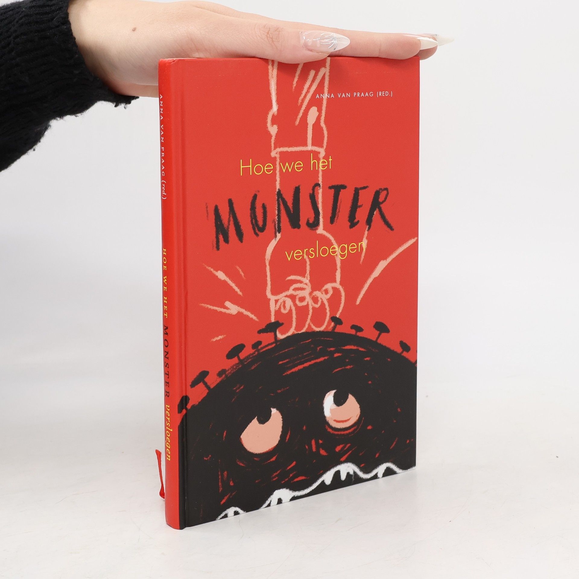 Hoe we het monster versloegen