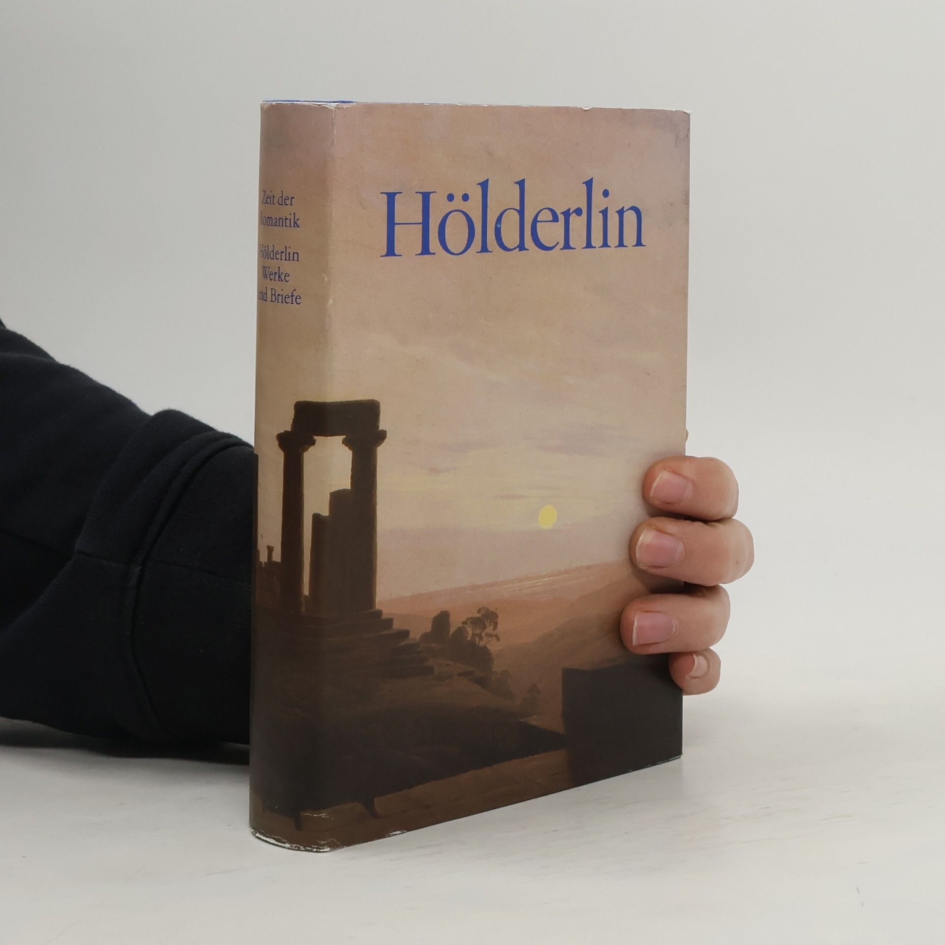 Friedrich Beißner Hölderlin Werke und Briefe