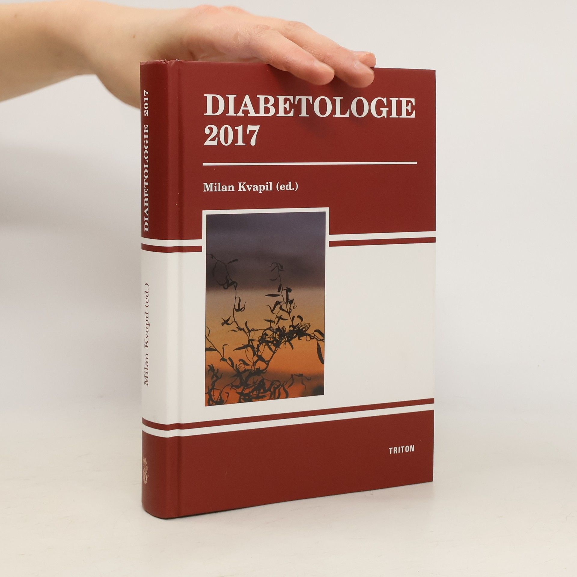 Milan Kvapil Diabetologie 2017