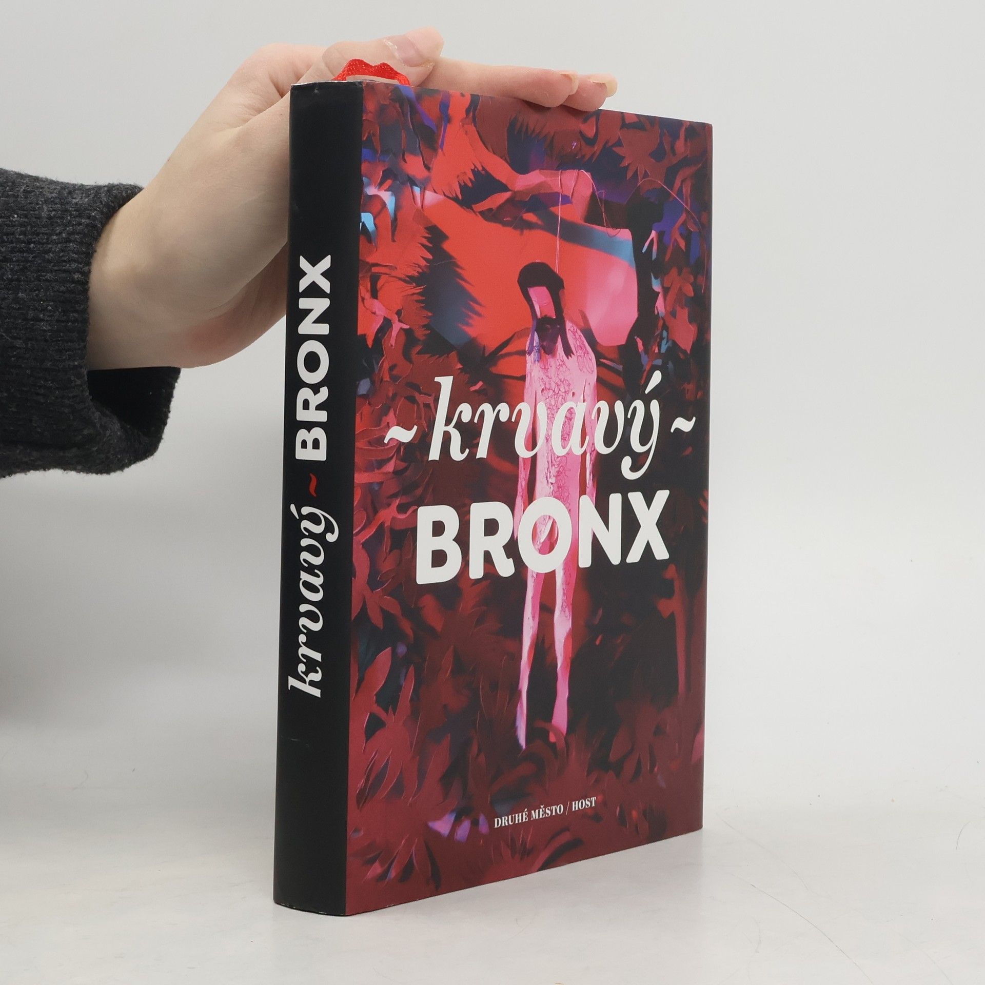 Kolektív autorov Krvavý Bronx