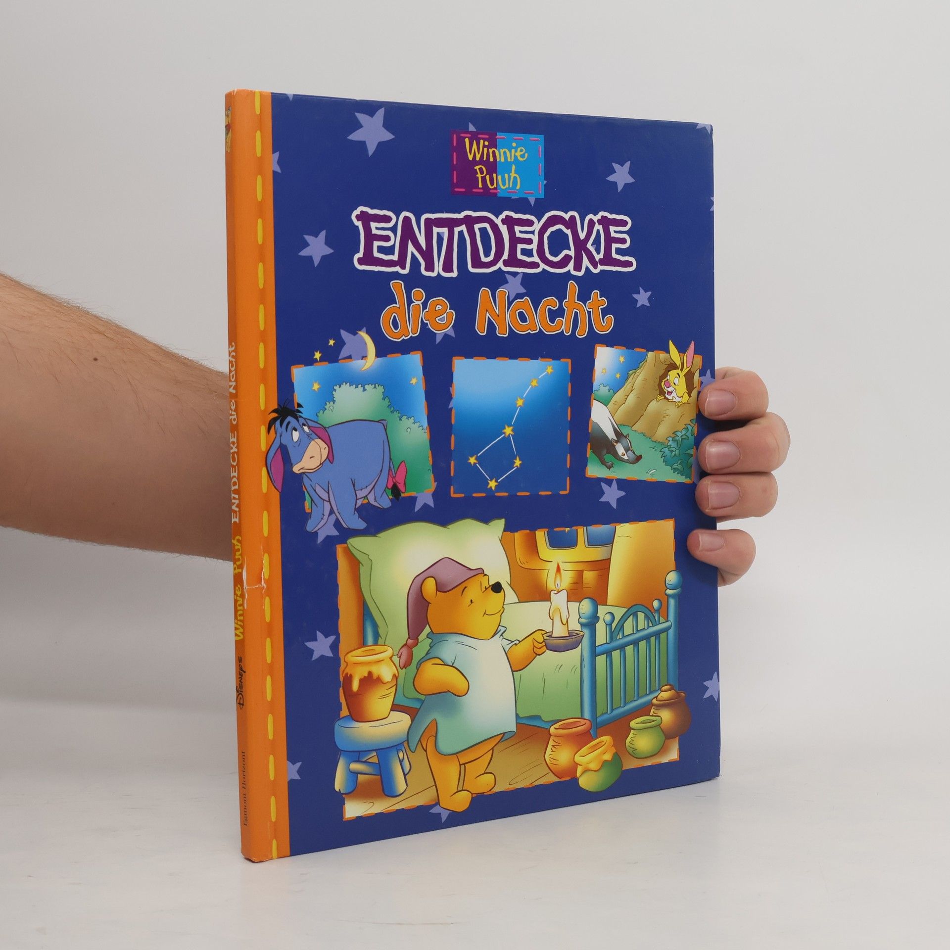 Autorenkollektiv Winnie Puuh: Entdecke die Nacht