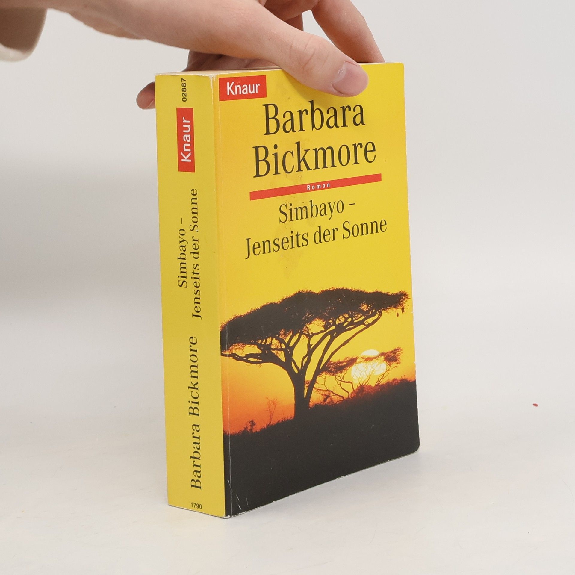 Simbayo - Jenseits der Sonne