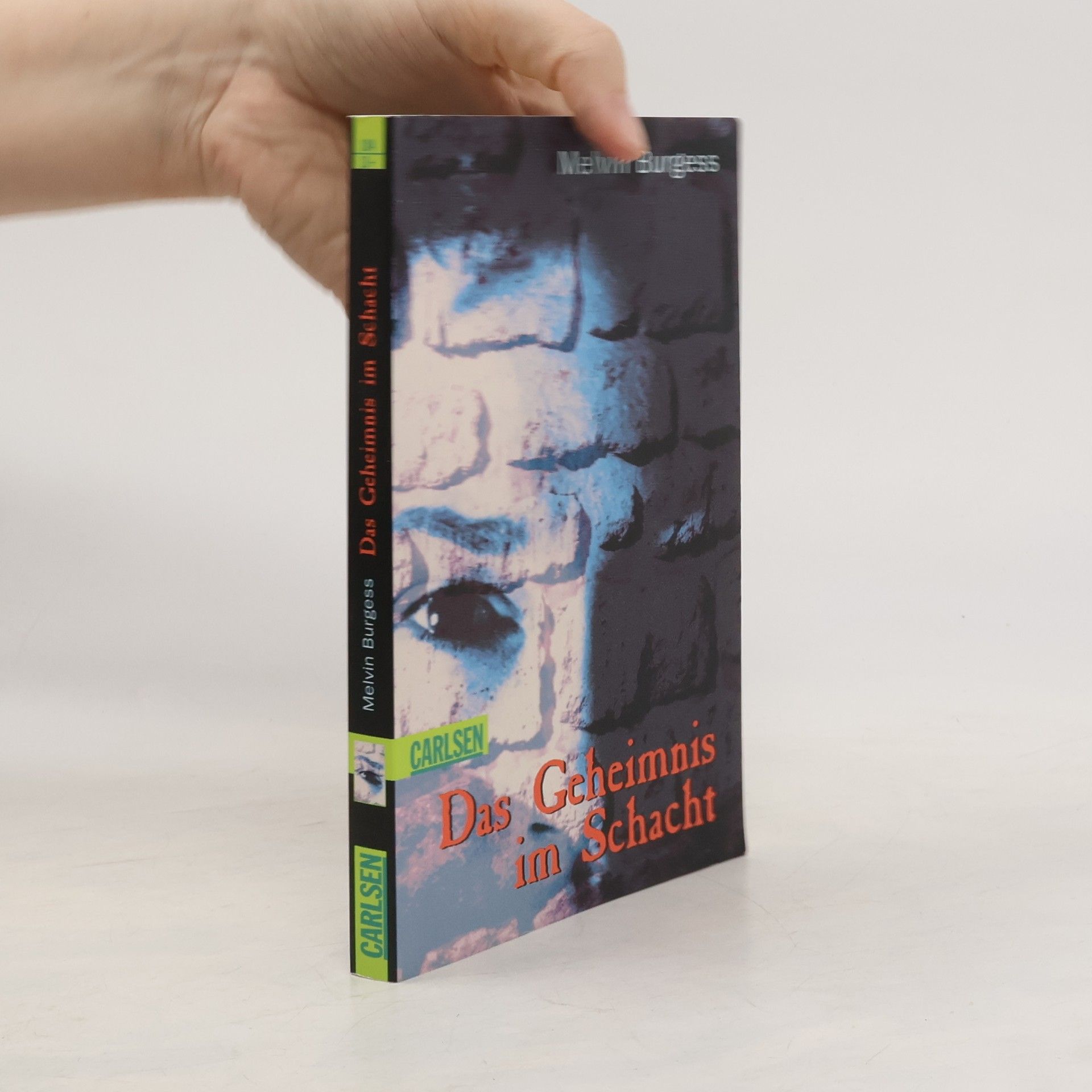 Melvin Burgess Das Geheimnis im Schacht