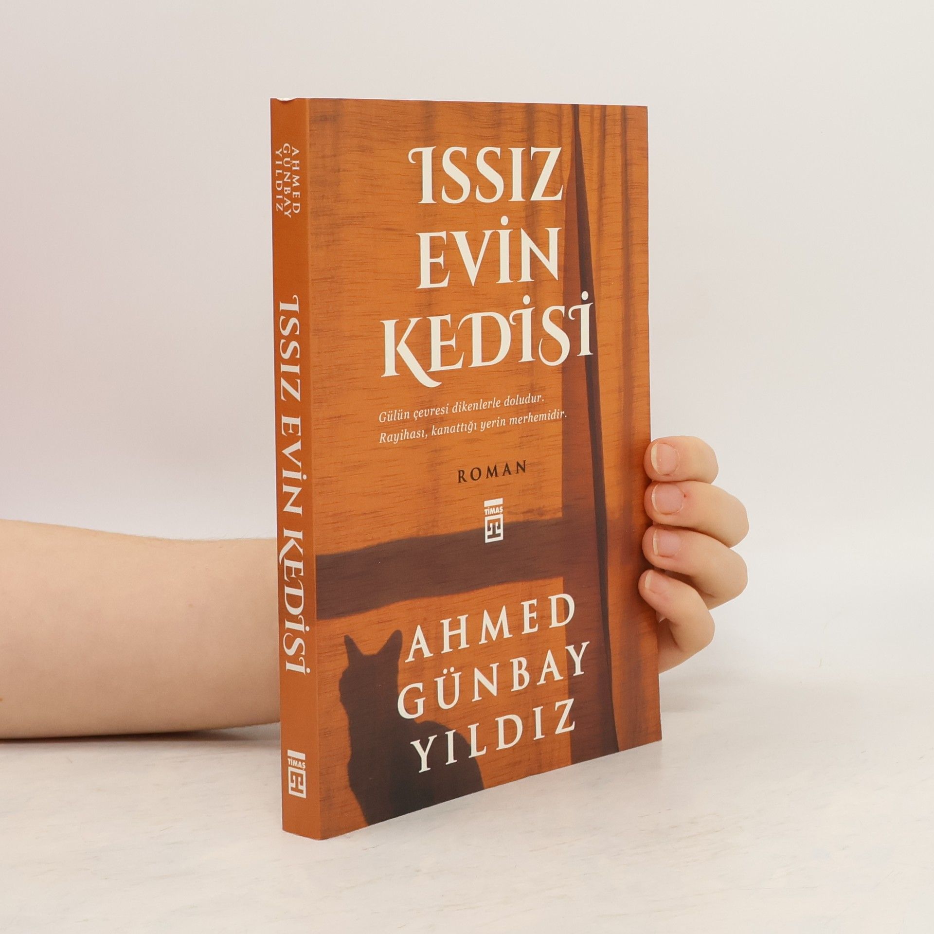 Ahmed Günbay Yildiz Issız evin kedisi