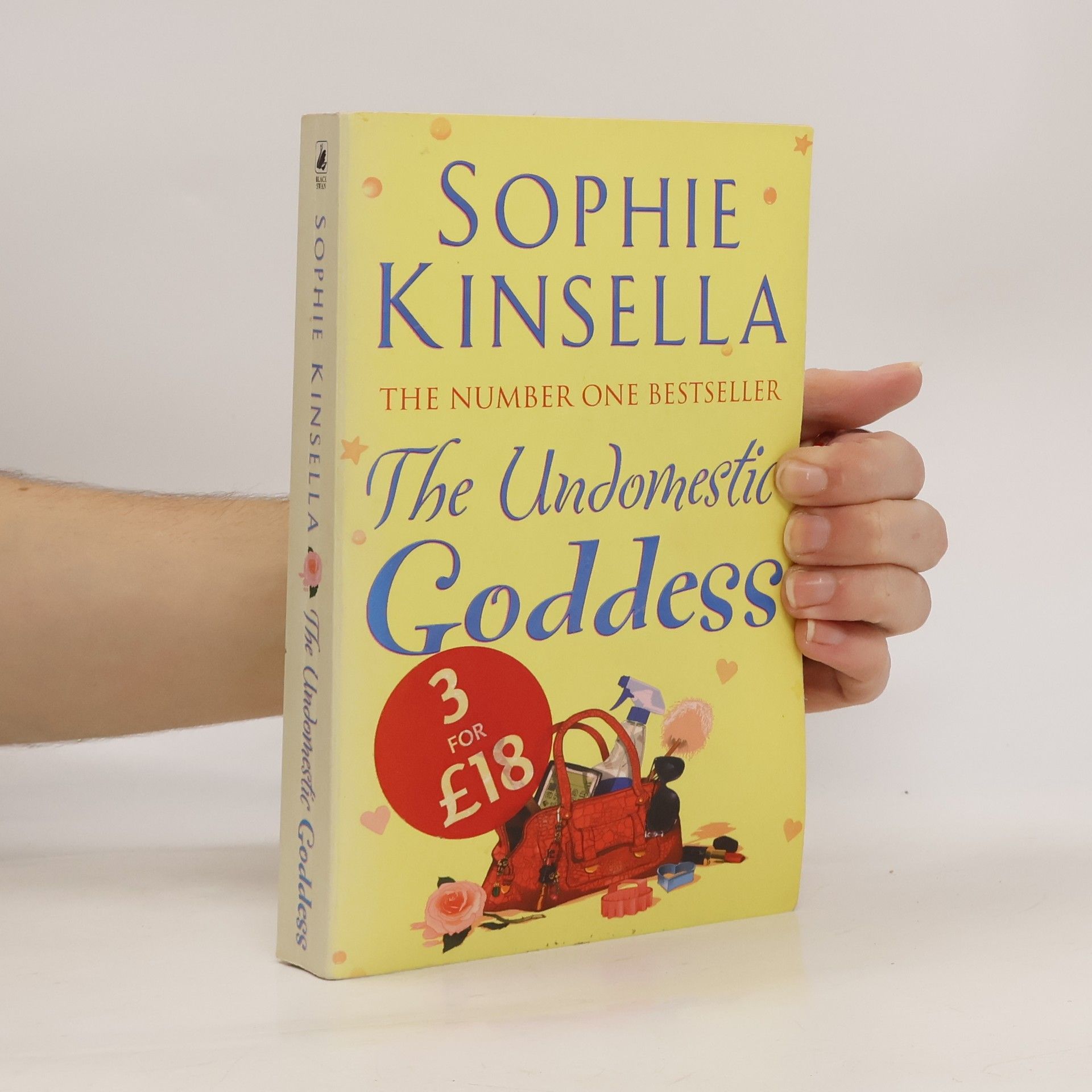 Sophie Kinsella The undomestic goddess