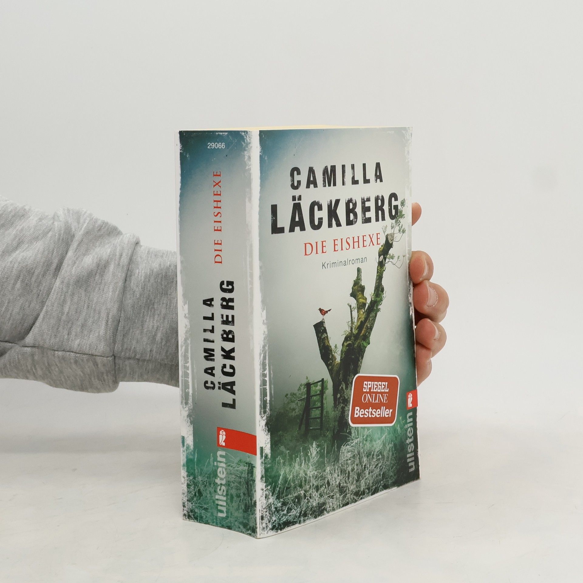 Camilla Läckberg Die Eishexe