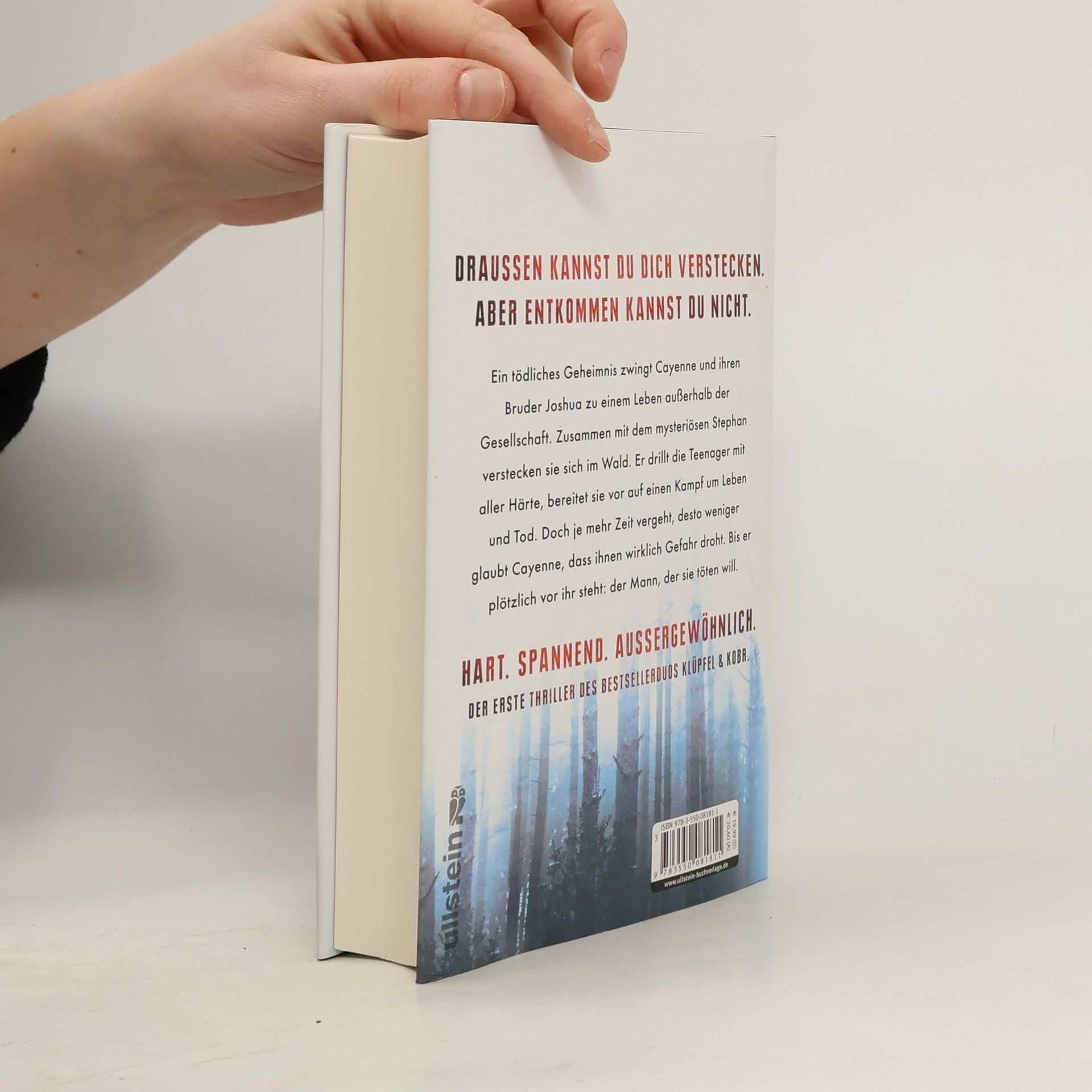Volker Klüpfel Draussen