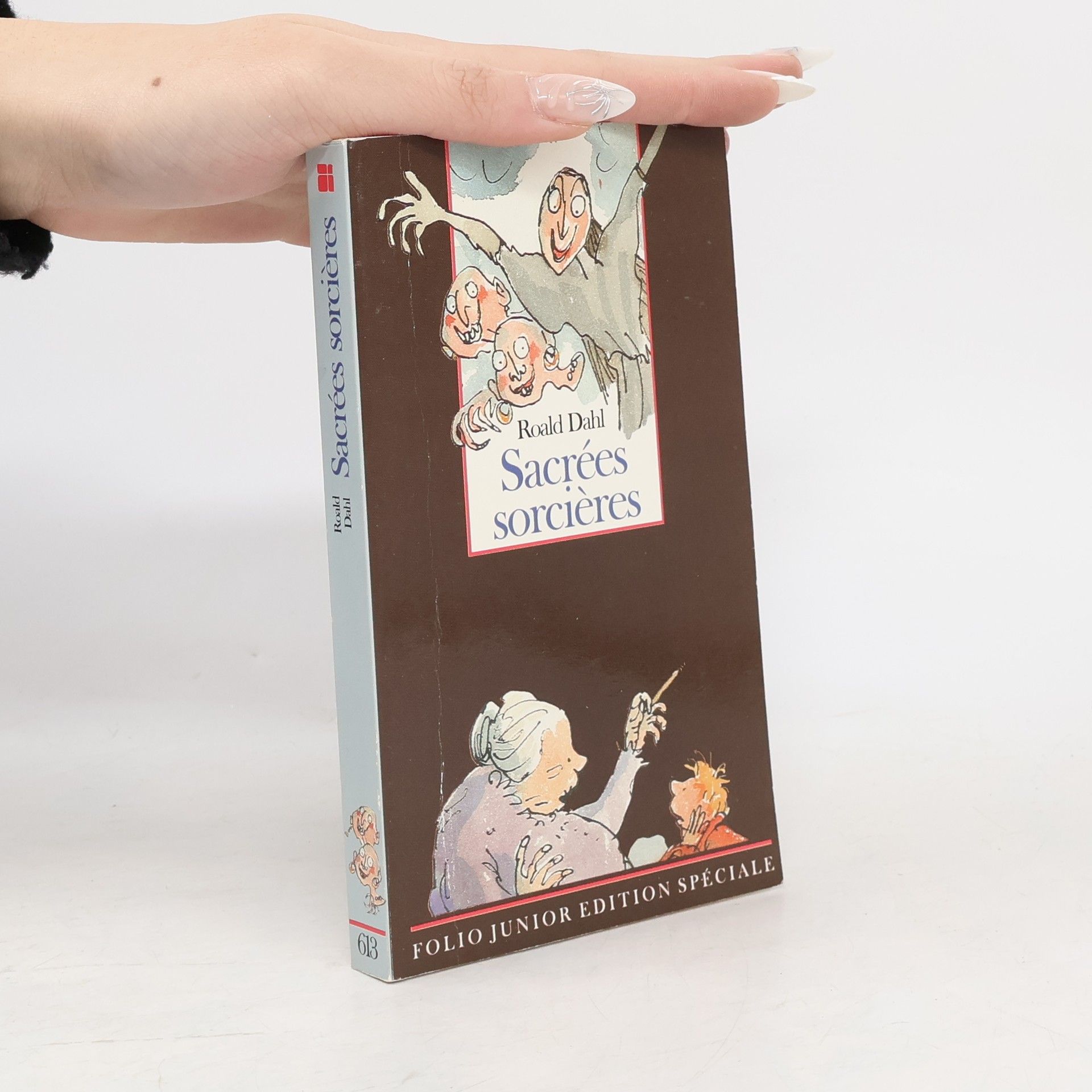 Roald Dahl Sacrées Sorcières