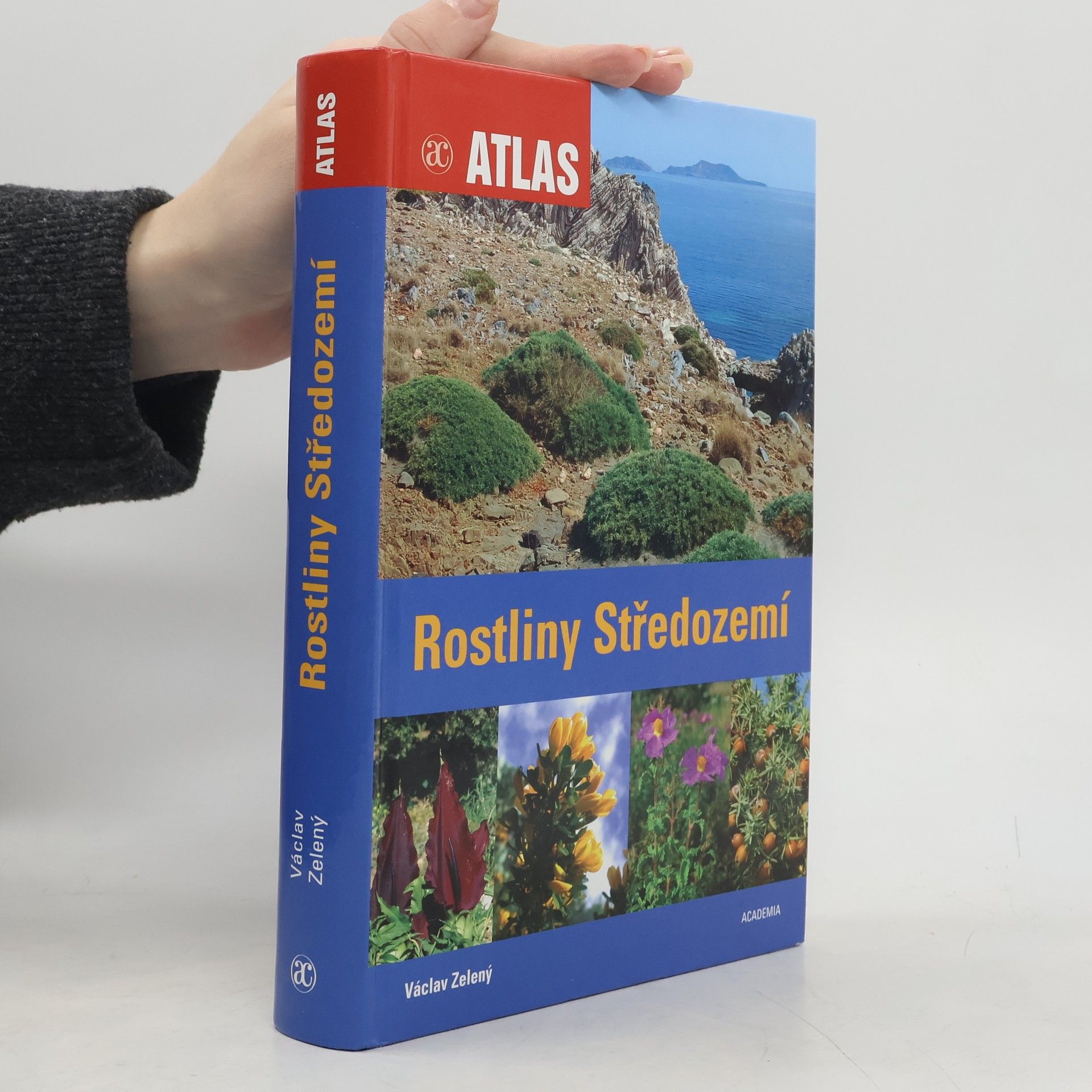 Rostliny Středozemí