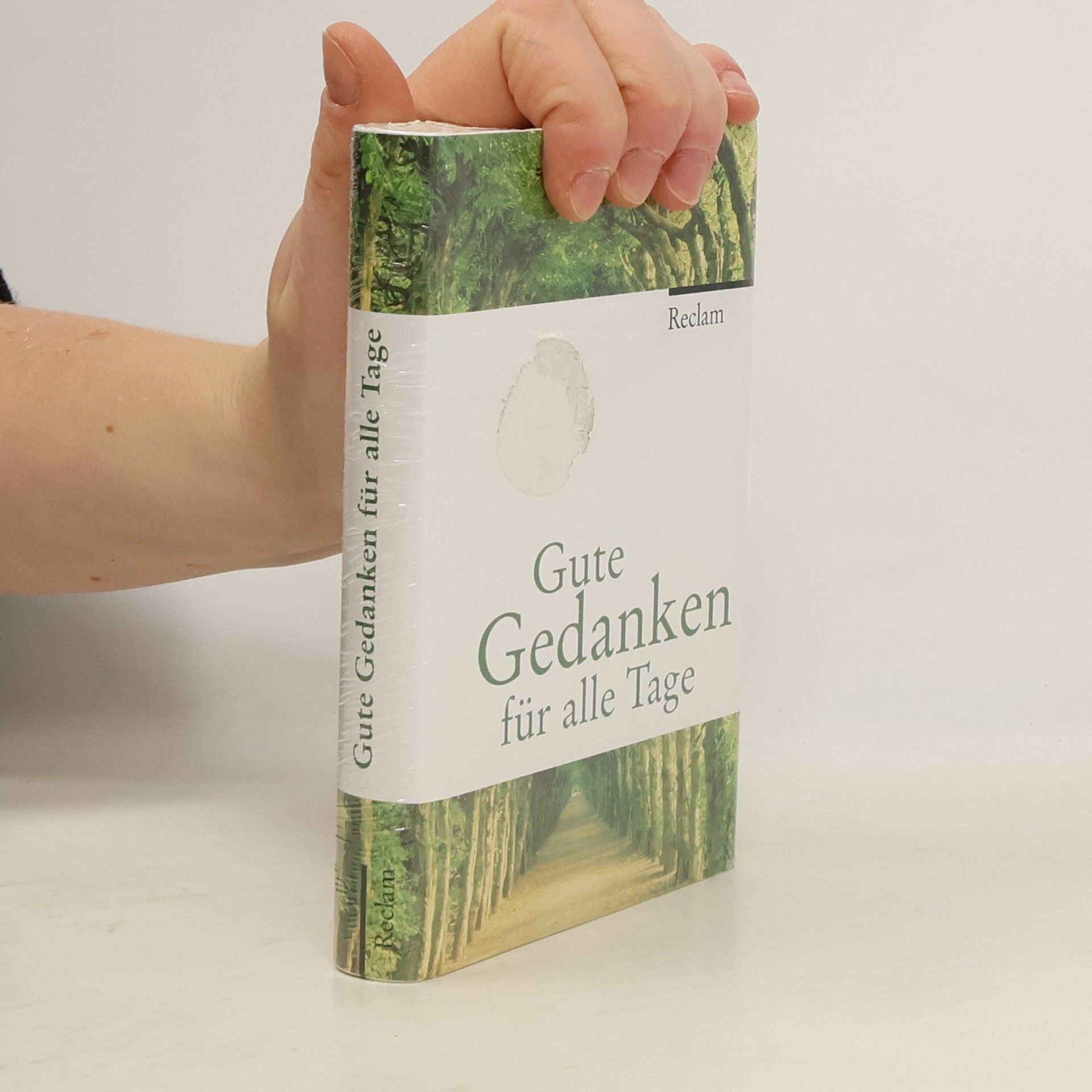 Evelyne Polt-Heinzl Gute Gedanken für alle Tage