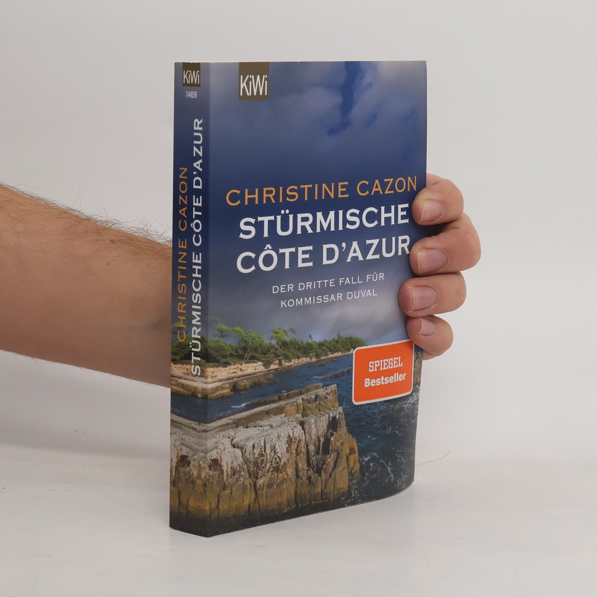 Christine Cazon Stürmische Cote d´Azur